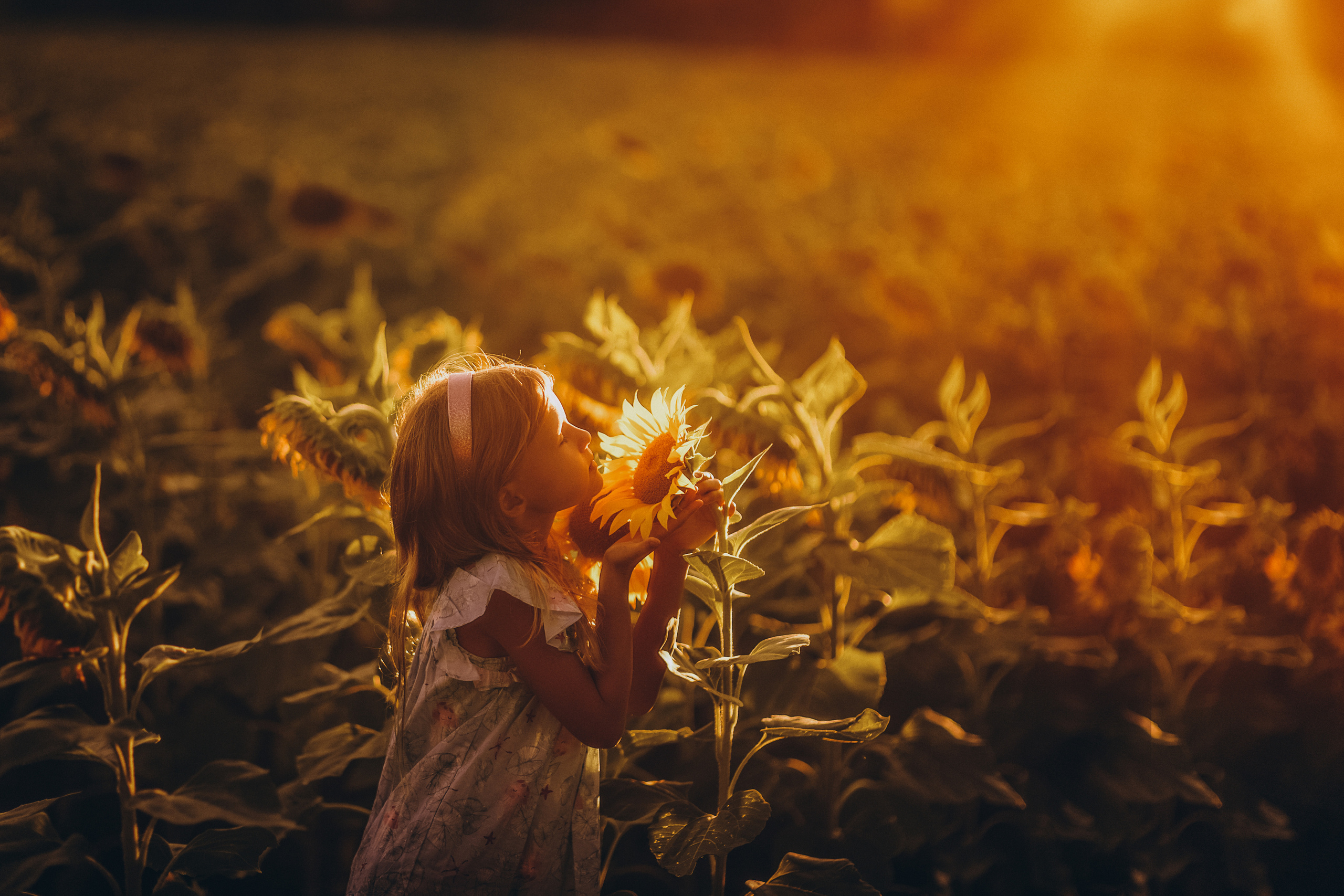 Provence. Photographer in Provence Julia Lipiainen