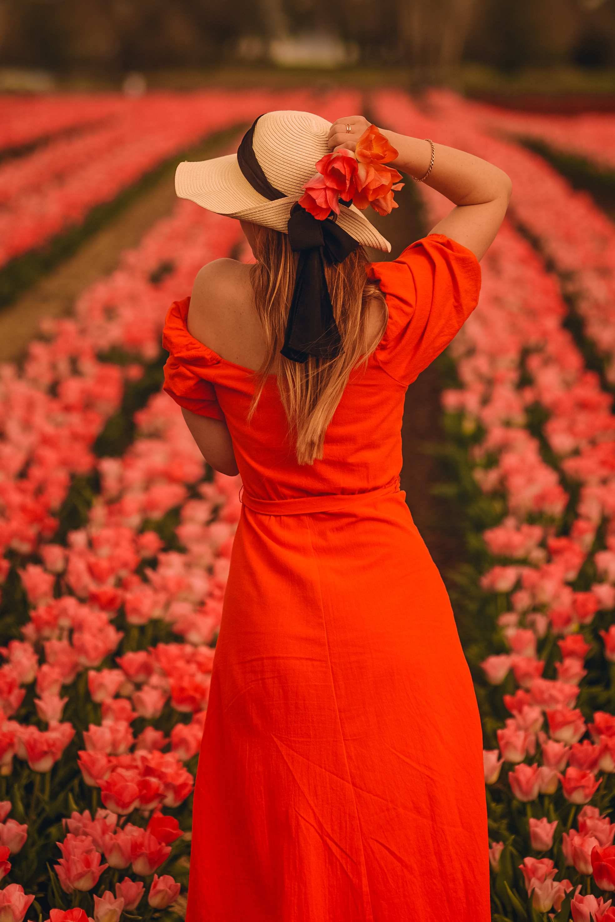 Provence. Photographer in Provence Julia Lipiainen