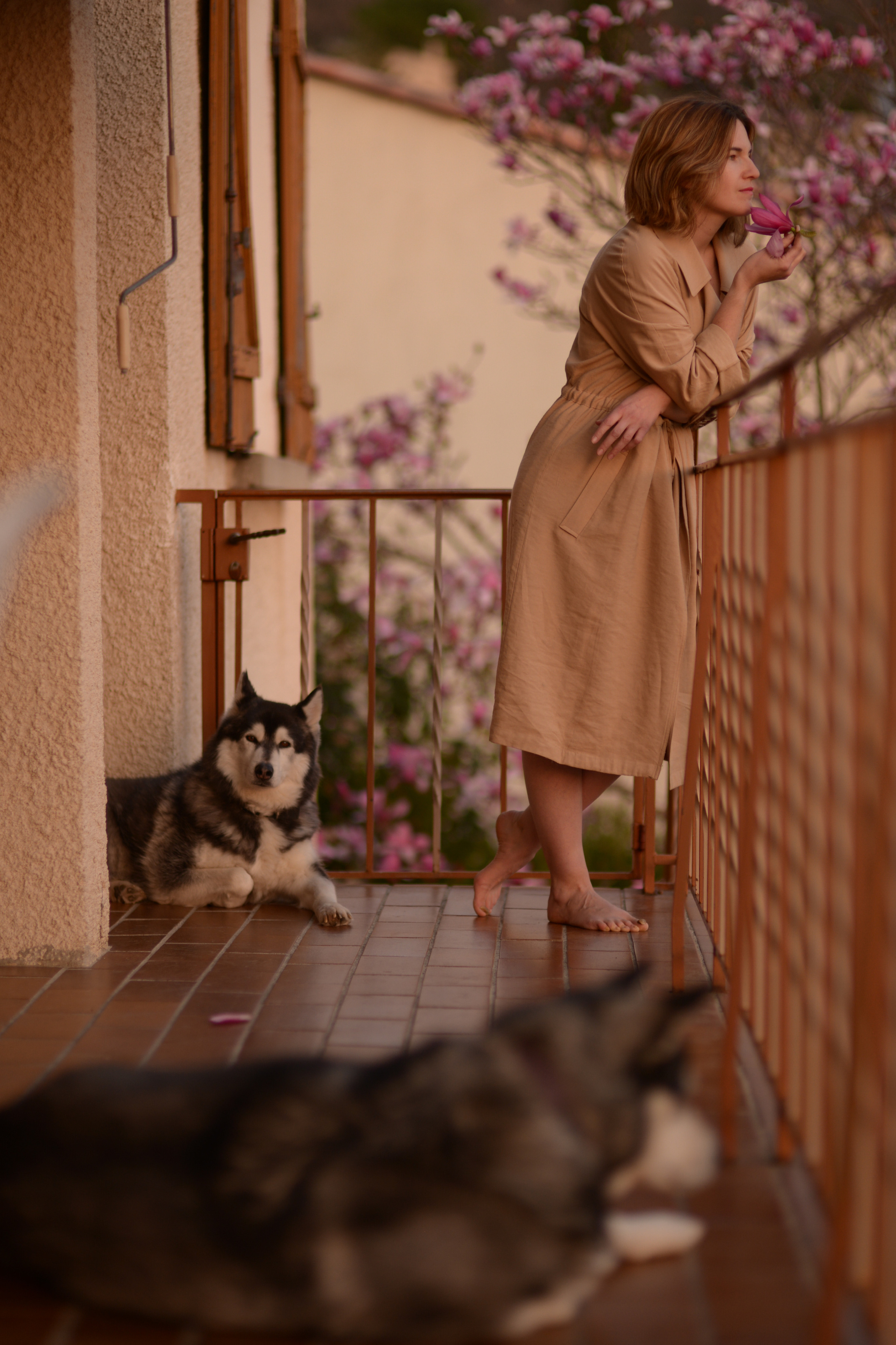 Provence. Photographer in Provence Julia Lipiainen