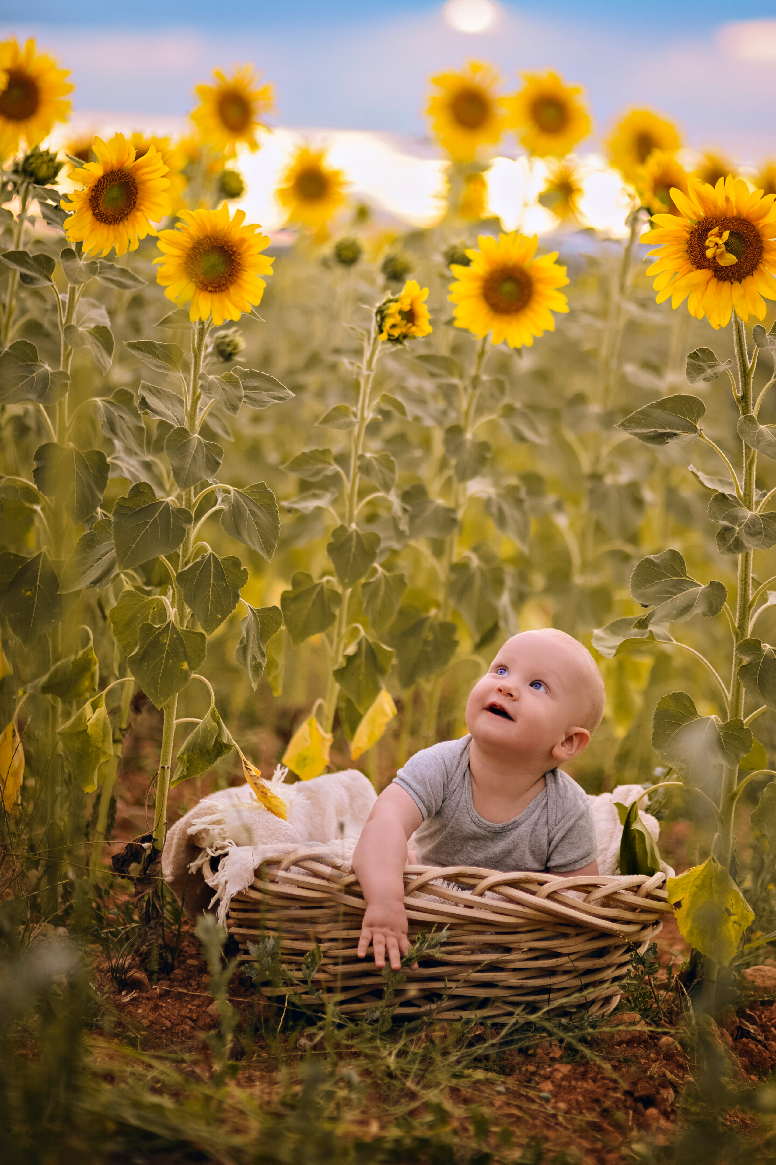 Provence. Photographer in Provence Julia Lipiainen
