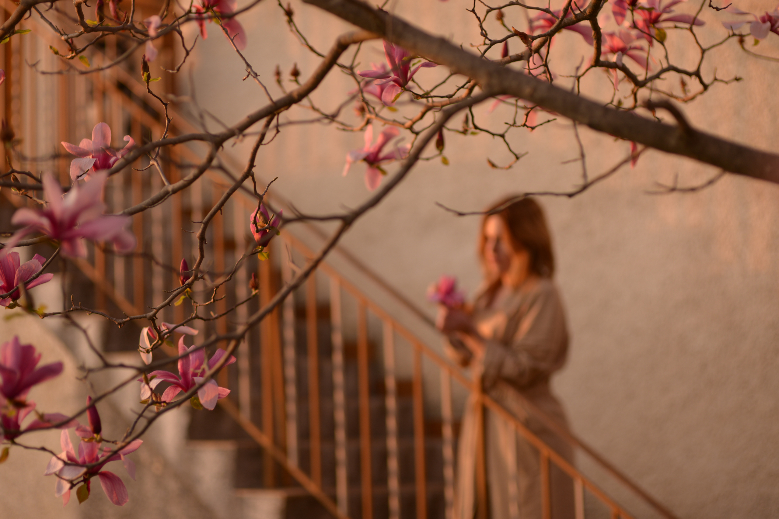 Provence. Photographer in Provence Julia Lipiainen