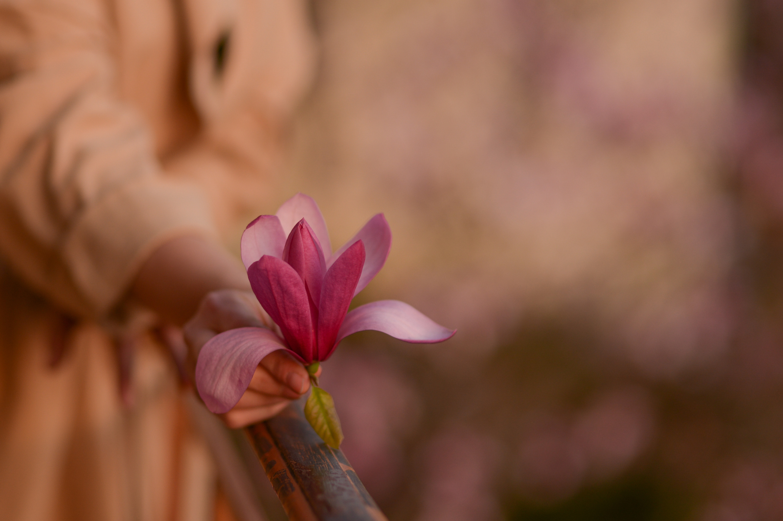 Provence. Photographer in Provence Julia Lipiainen