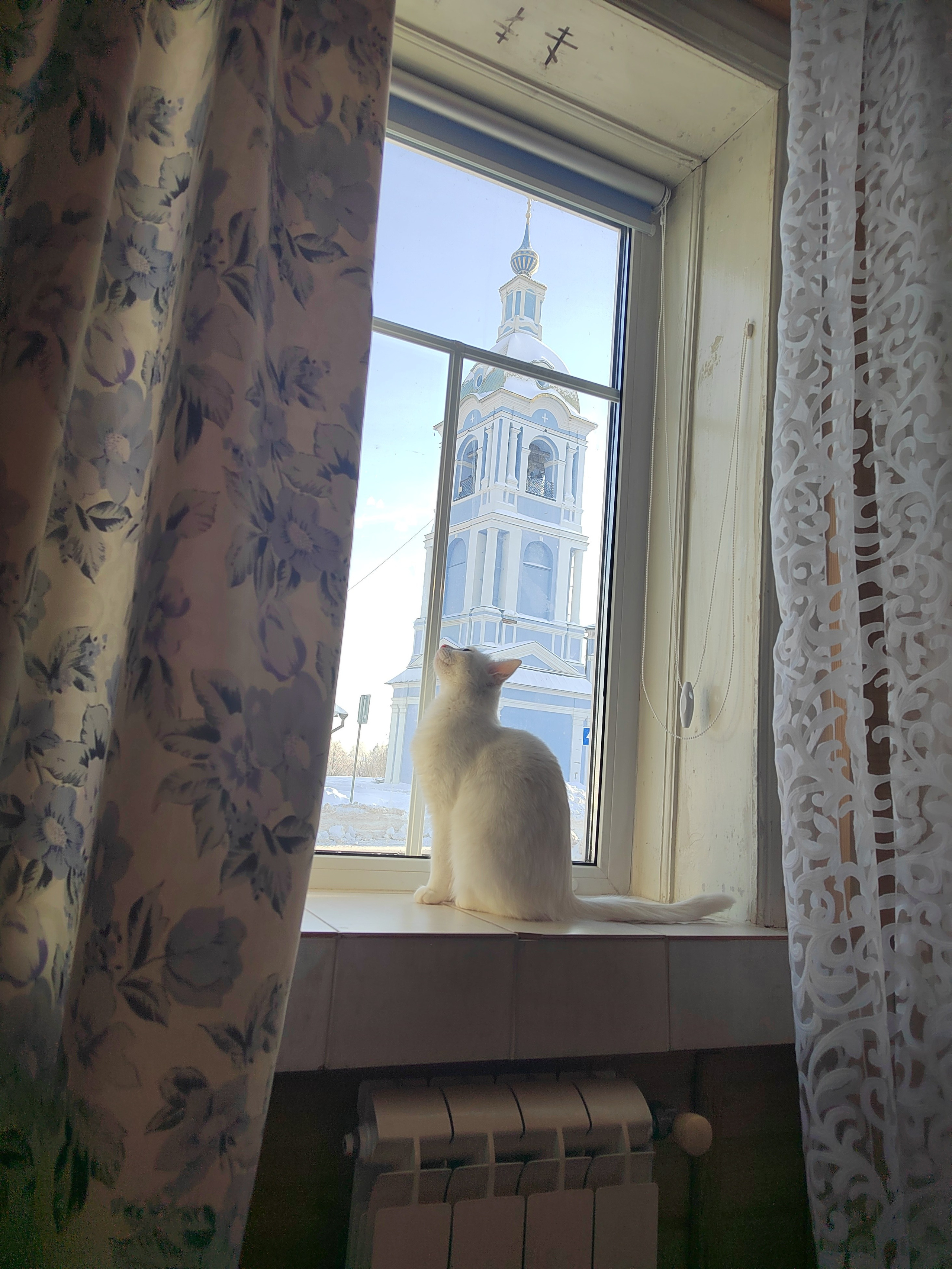 Встречи сердечные. Гостевой дом в сердце Суздаля