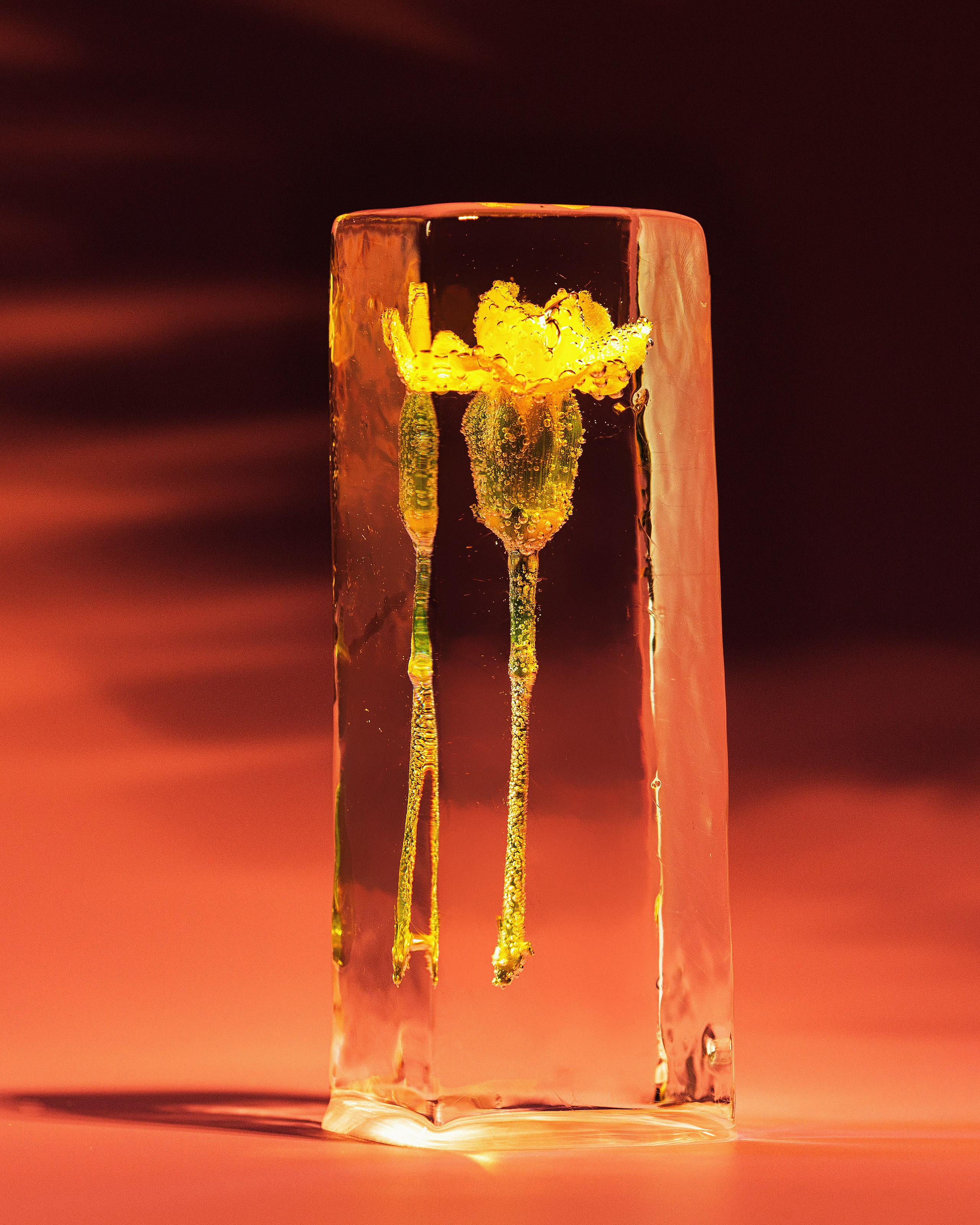 Фотосъемка льда для коктейлей в Смоленске. Фотограф | Михаил Буш Смоленск