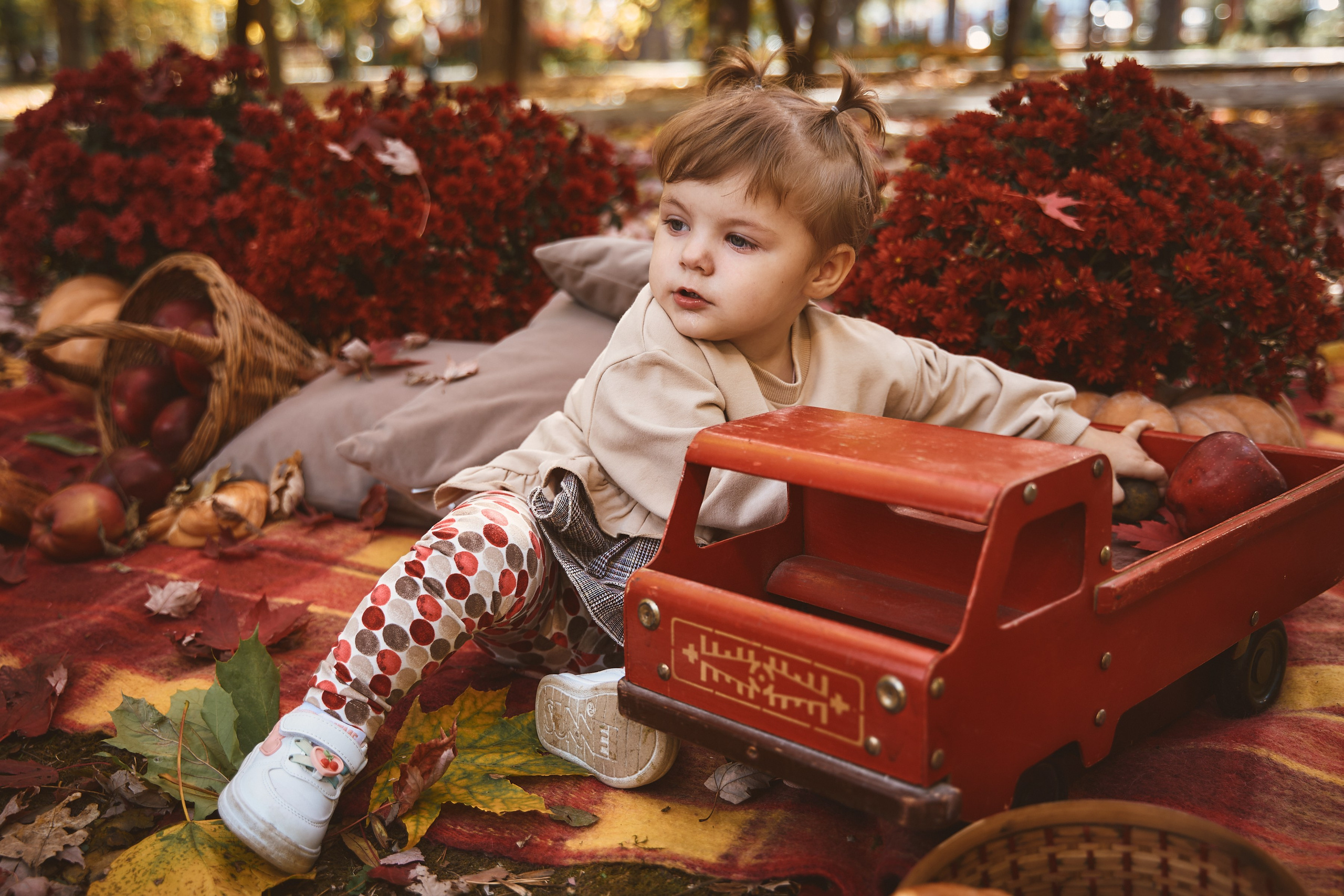 Осенняя фотосессия 2024. Петр Ступень. Свадебное, семейное фото и видео. Москва. Краснодар