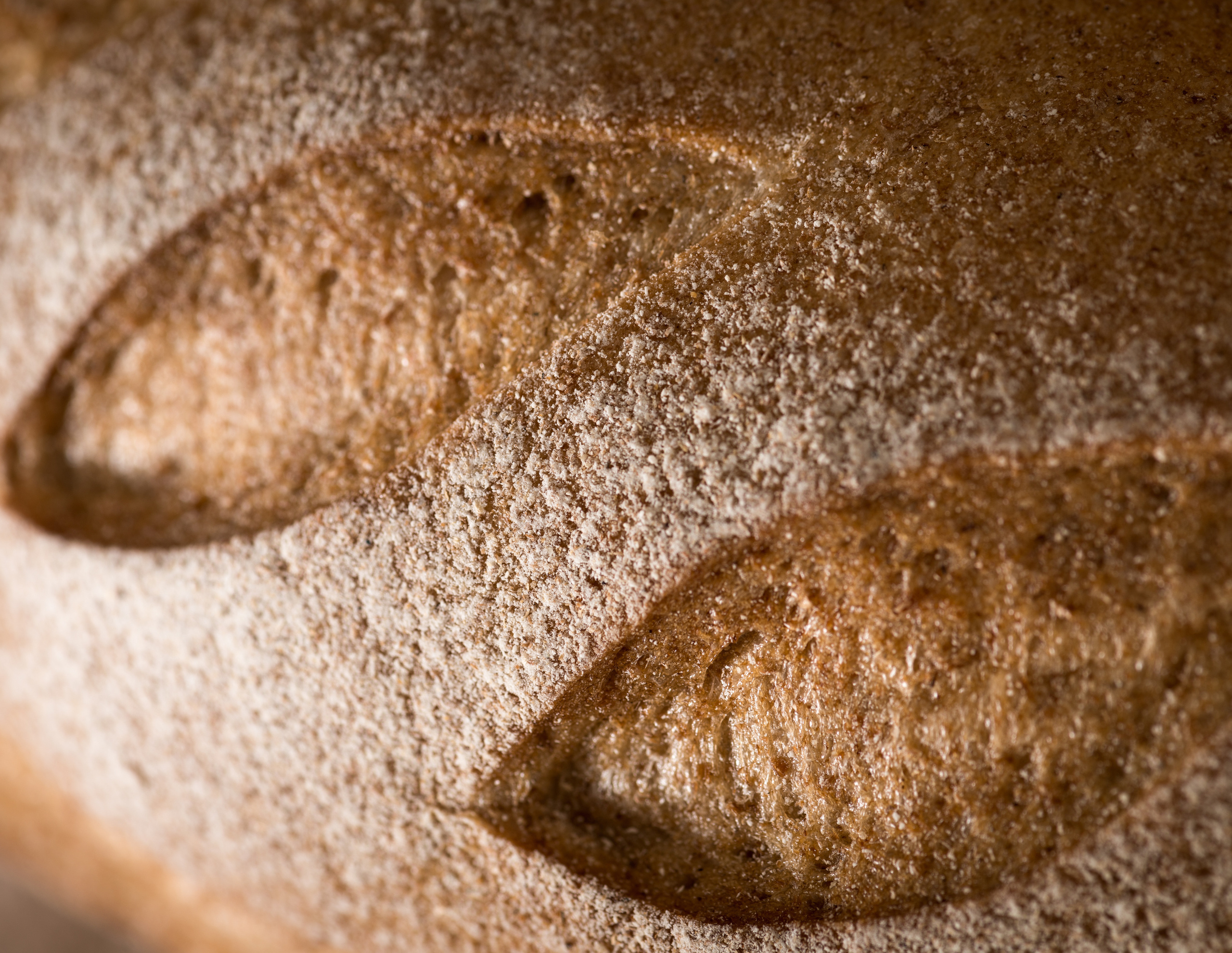 Фуд-фотография для меню и рекламы