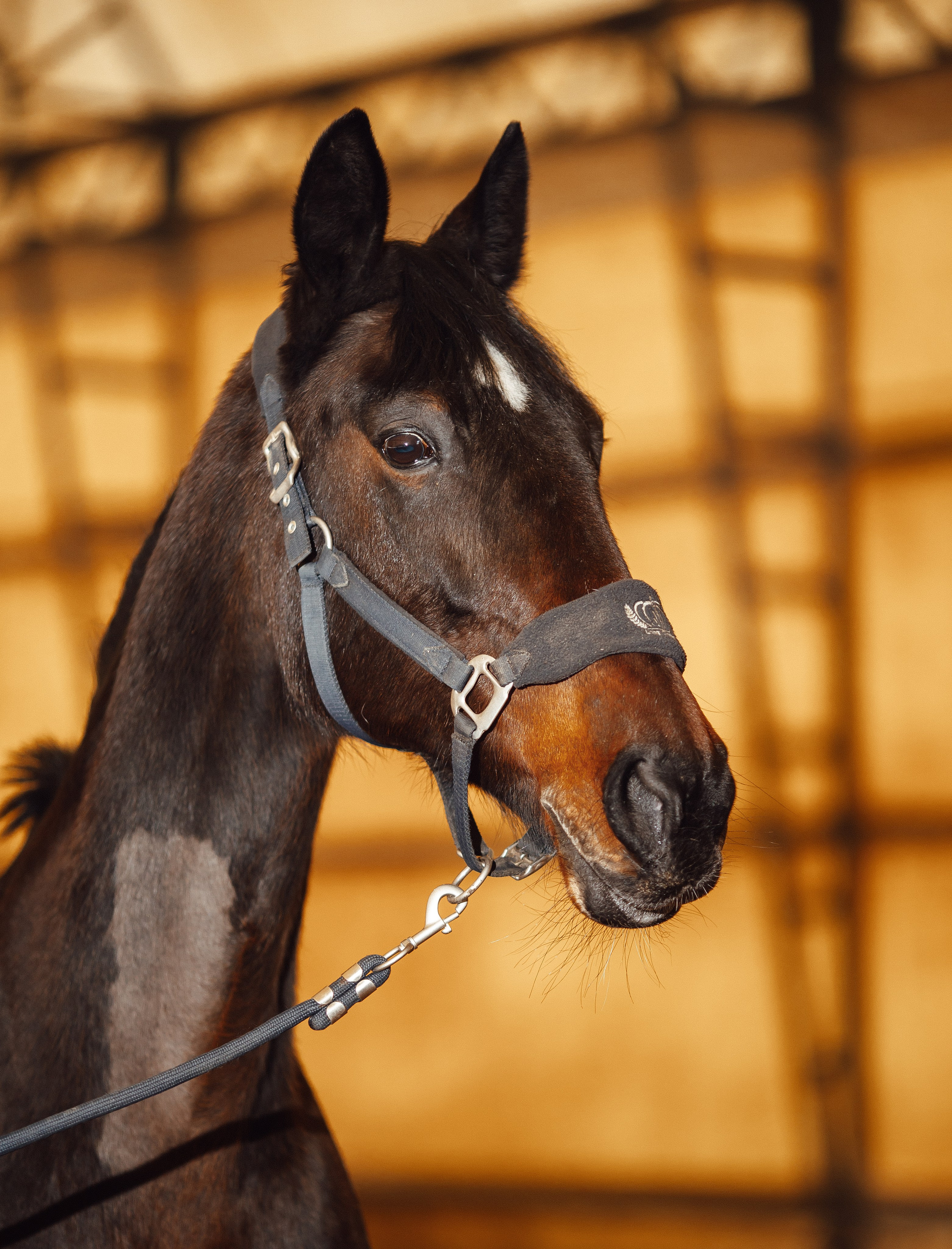 Вилла. Фотограф Варвара Ермоленко