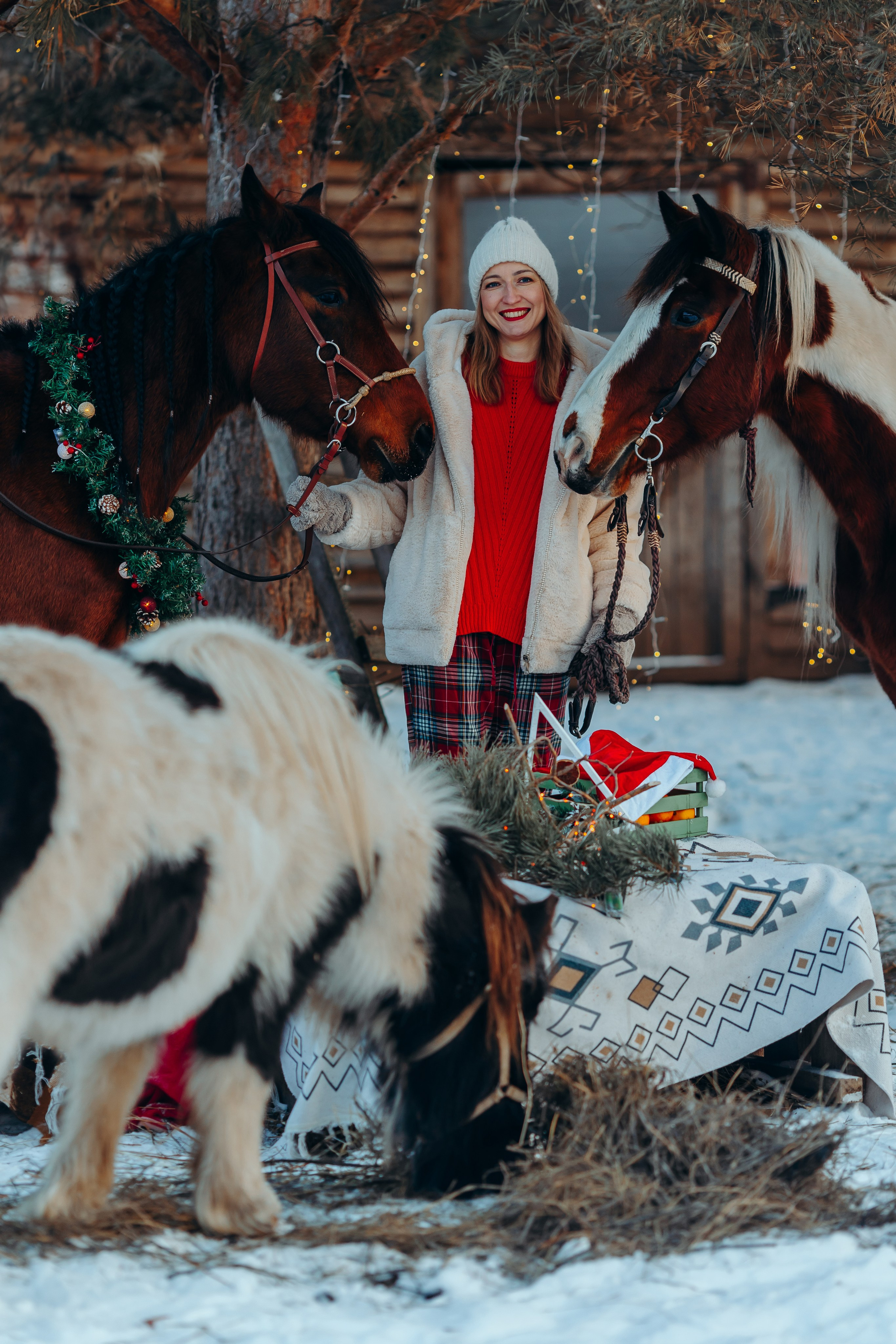 Тариф новогодний 2024. Анна Молчанова конный фотограф в Тюмени | фотосессии с лошадьми Тюмень