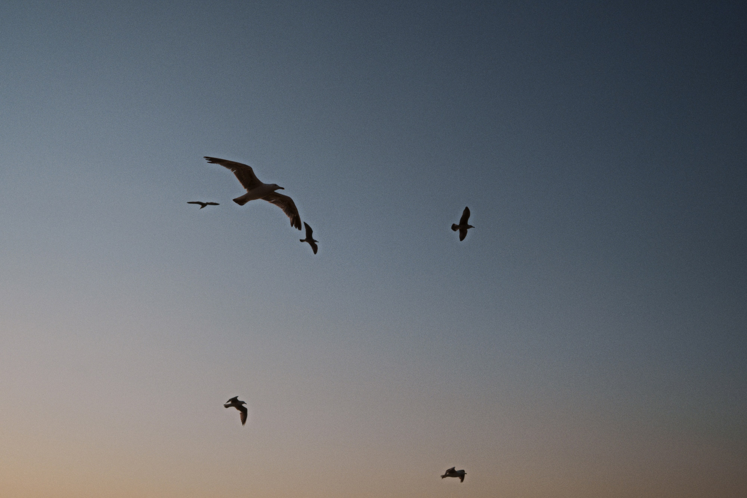 Beyoğlu, Istanbul / Türkey. Фотограф Юрин Евгений