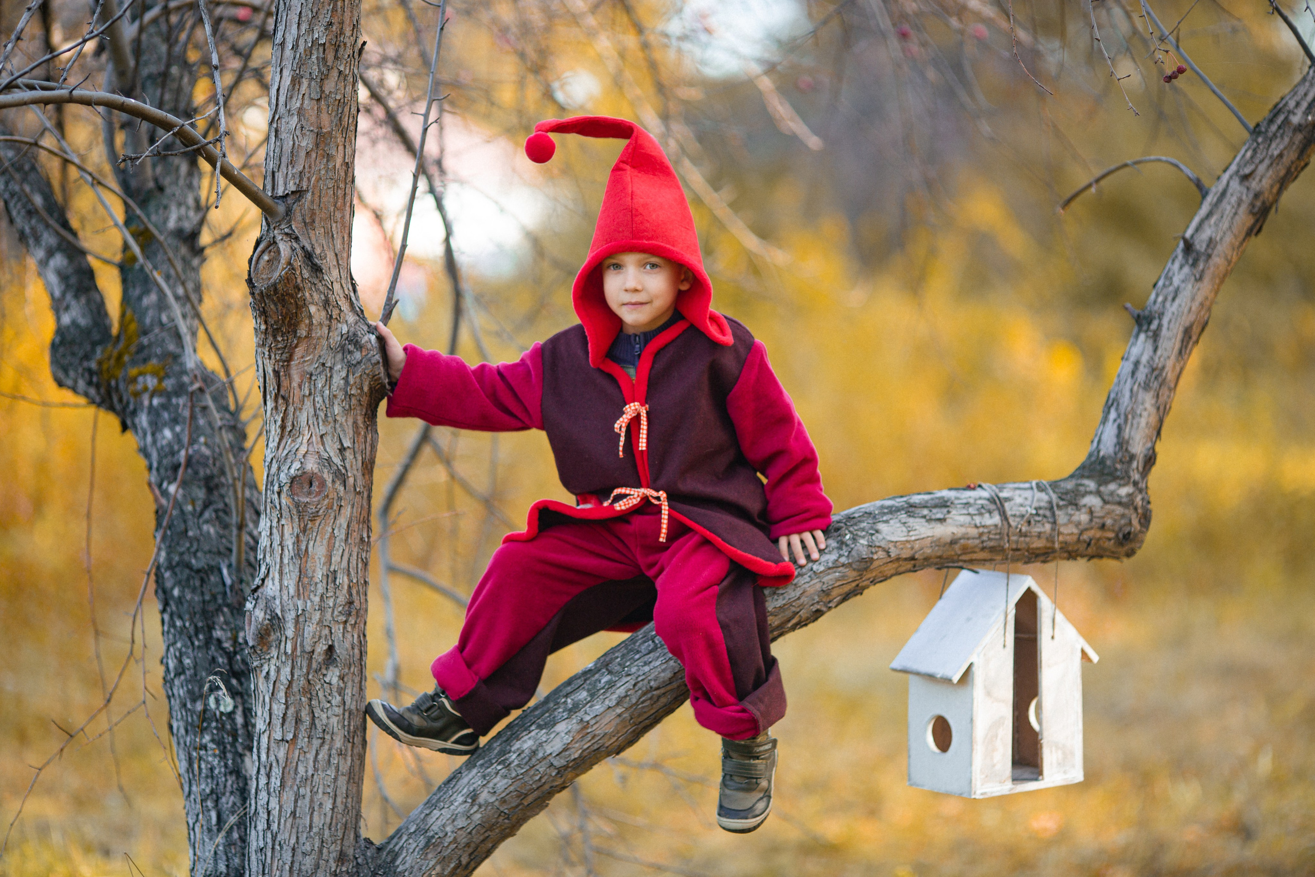 Лесные гномы