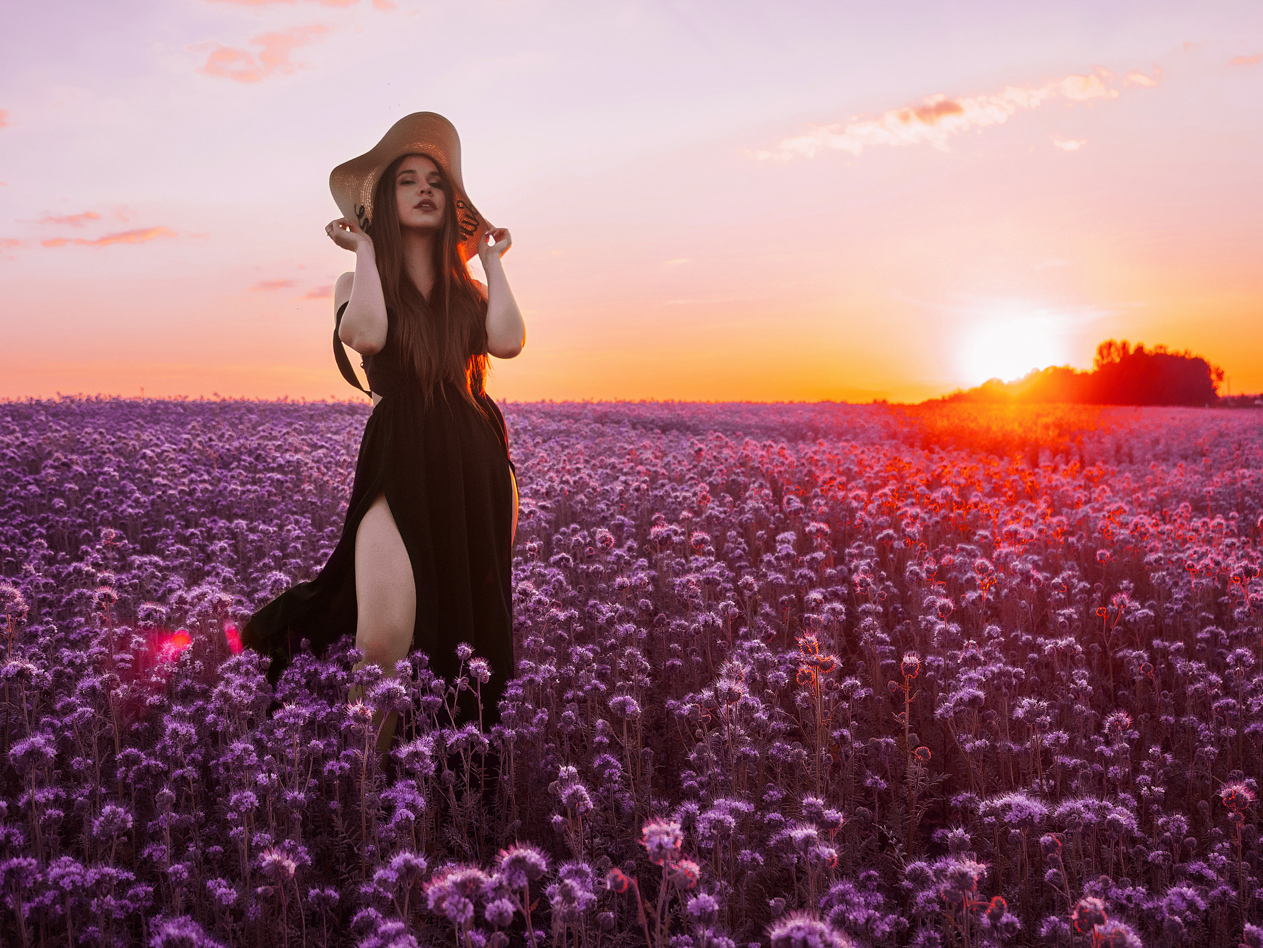 Фотодни с лошадьми лето 2019. Свадебный и портретный фотограф в Анталии Алина Фаизова