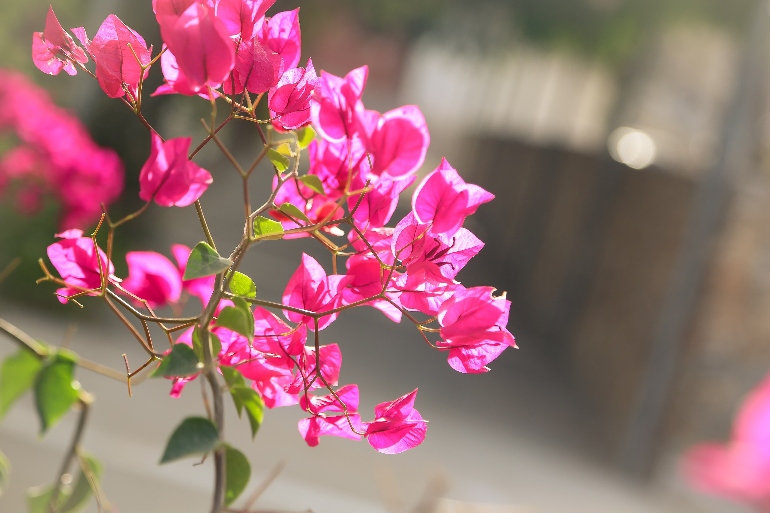 Испания: провинция Мурсия — первая встреча. Дарья Письменюк / Darya Leitstern — фотограф, музыкант, журналист, путешественник