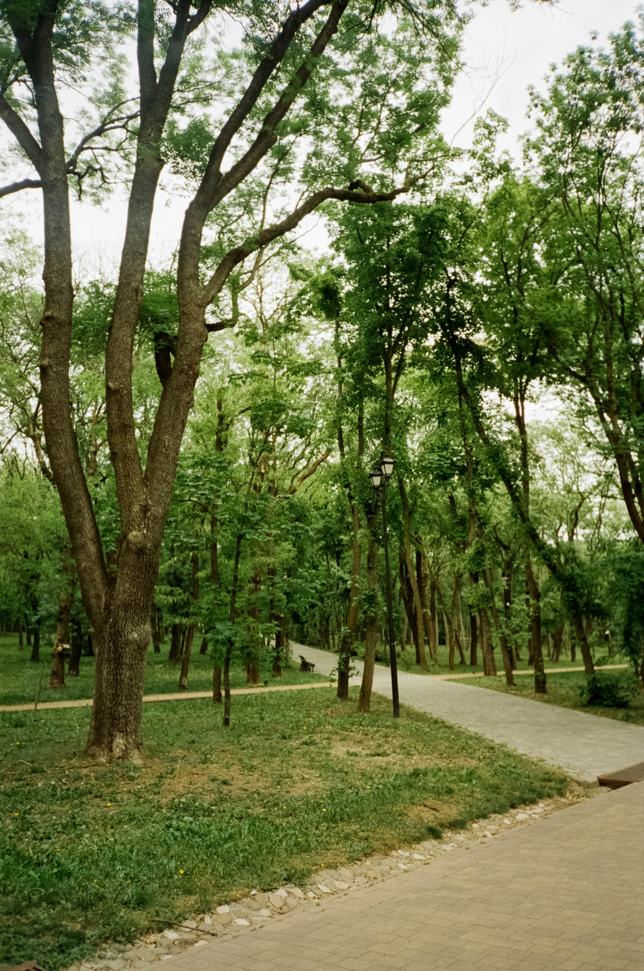Прогулка в Курортном парке. Ессентуки. Фотограф-документалист Мария Осокина