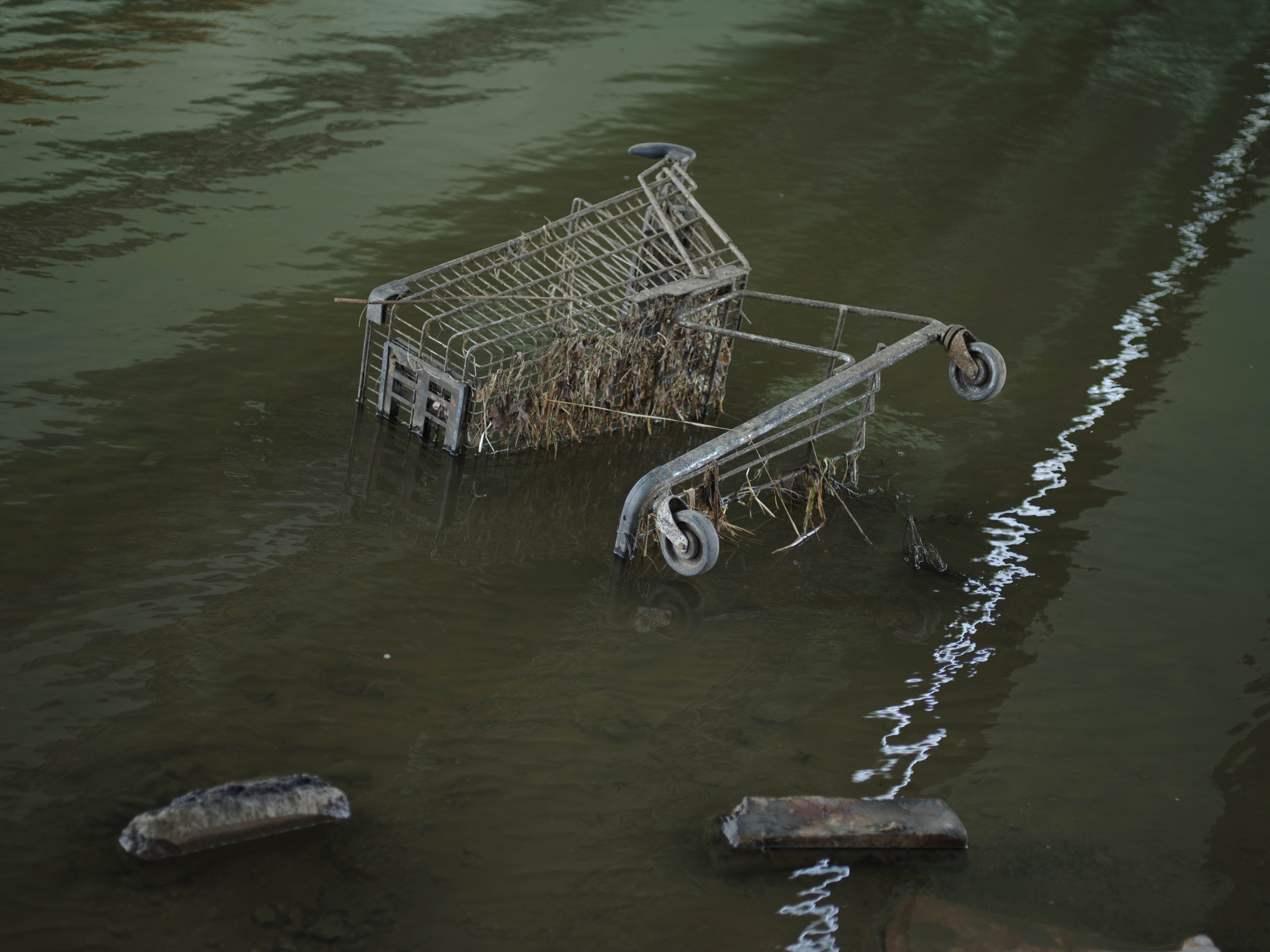 Dancing with absurdity. Photographer, Documentary and Art