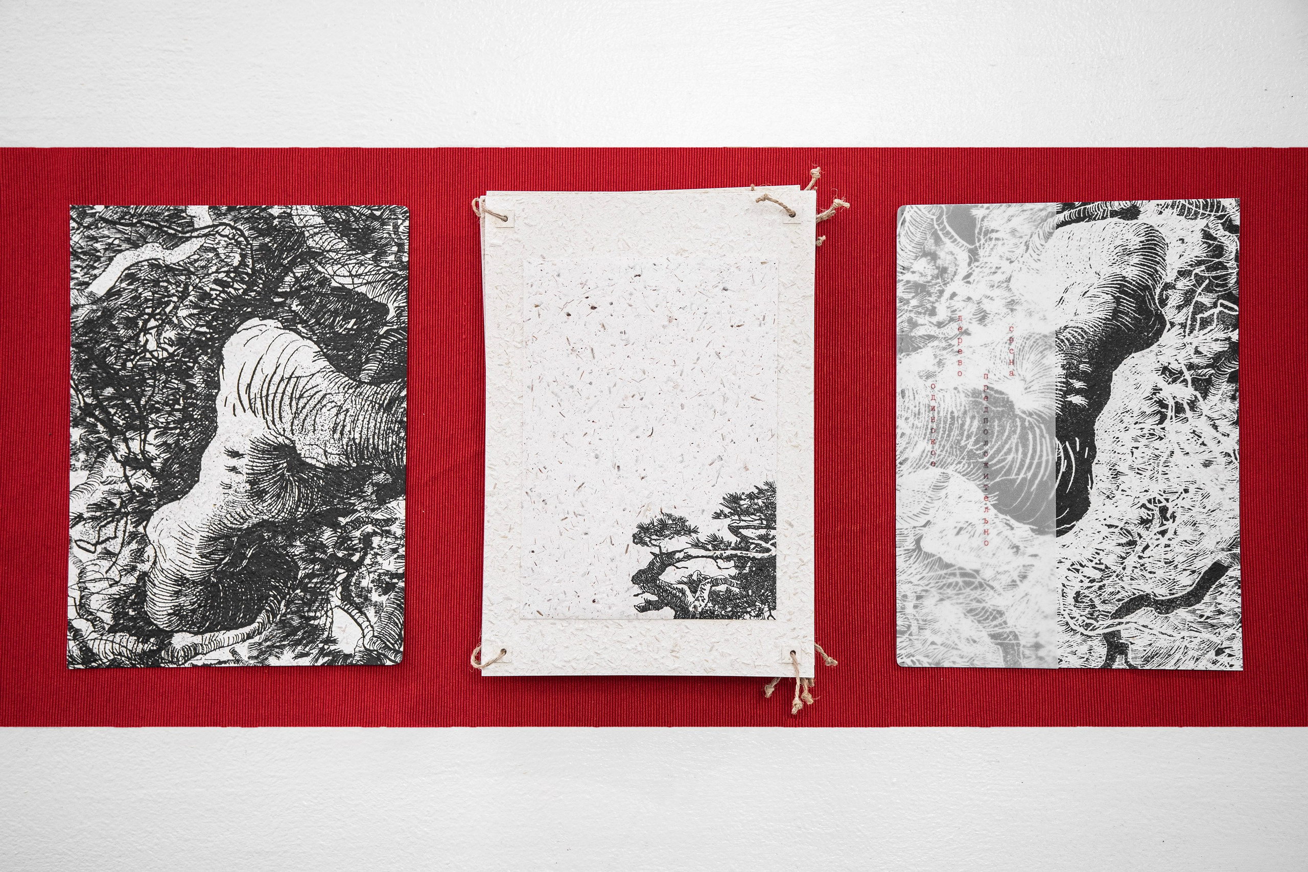 A Collection of Exercises (2023)