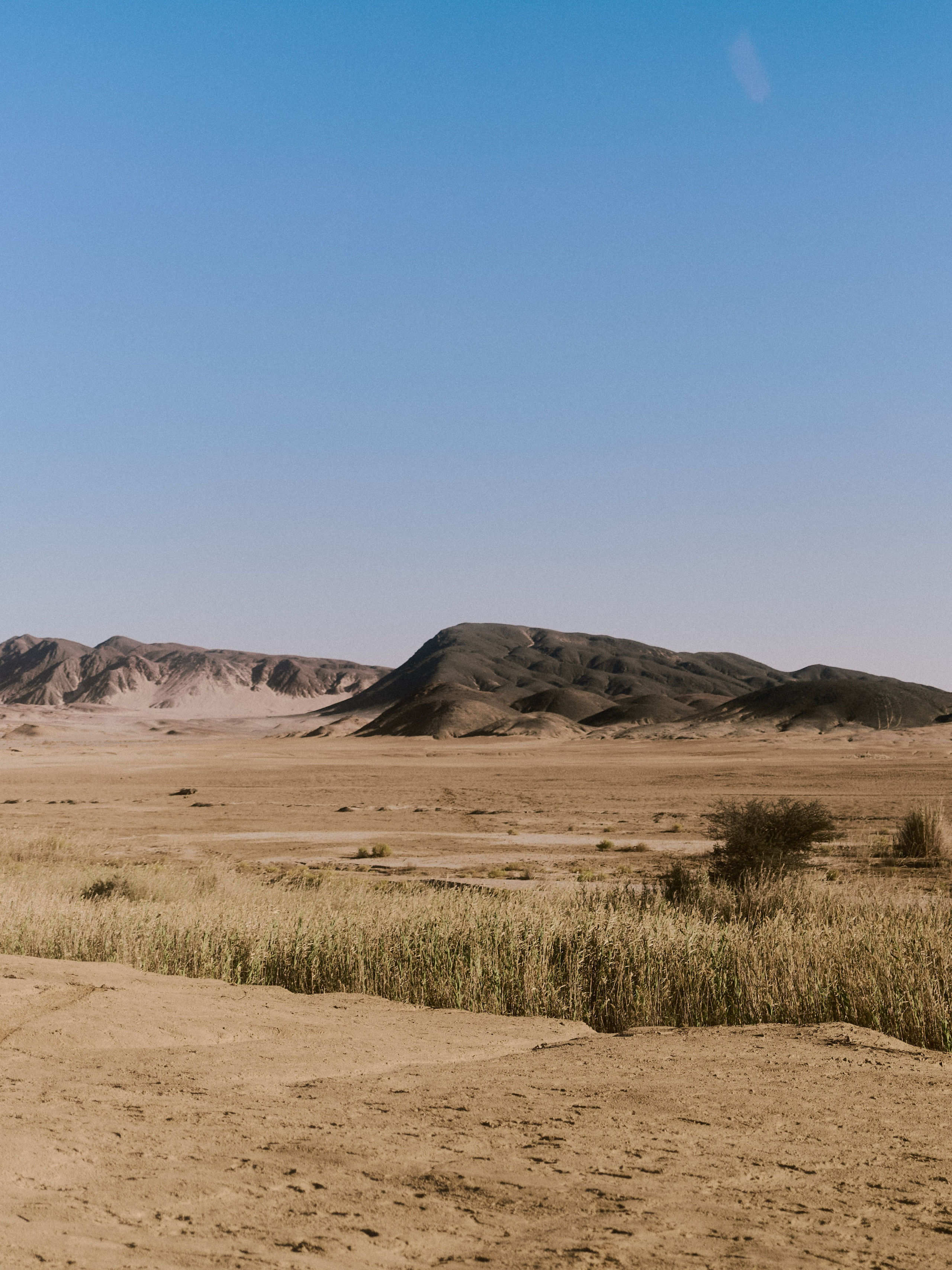 El-malacha (Оазис). Jorgis — фотограф в Хургаде / обучение фотографии