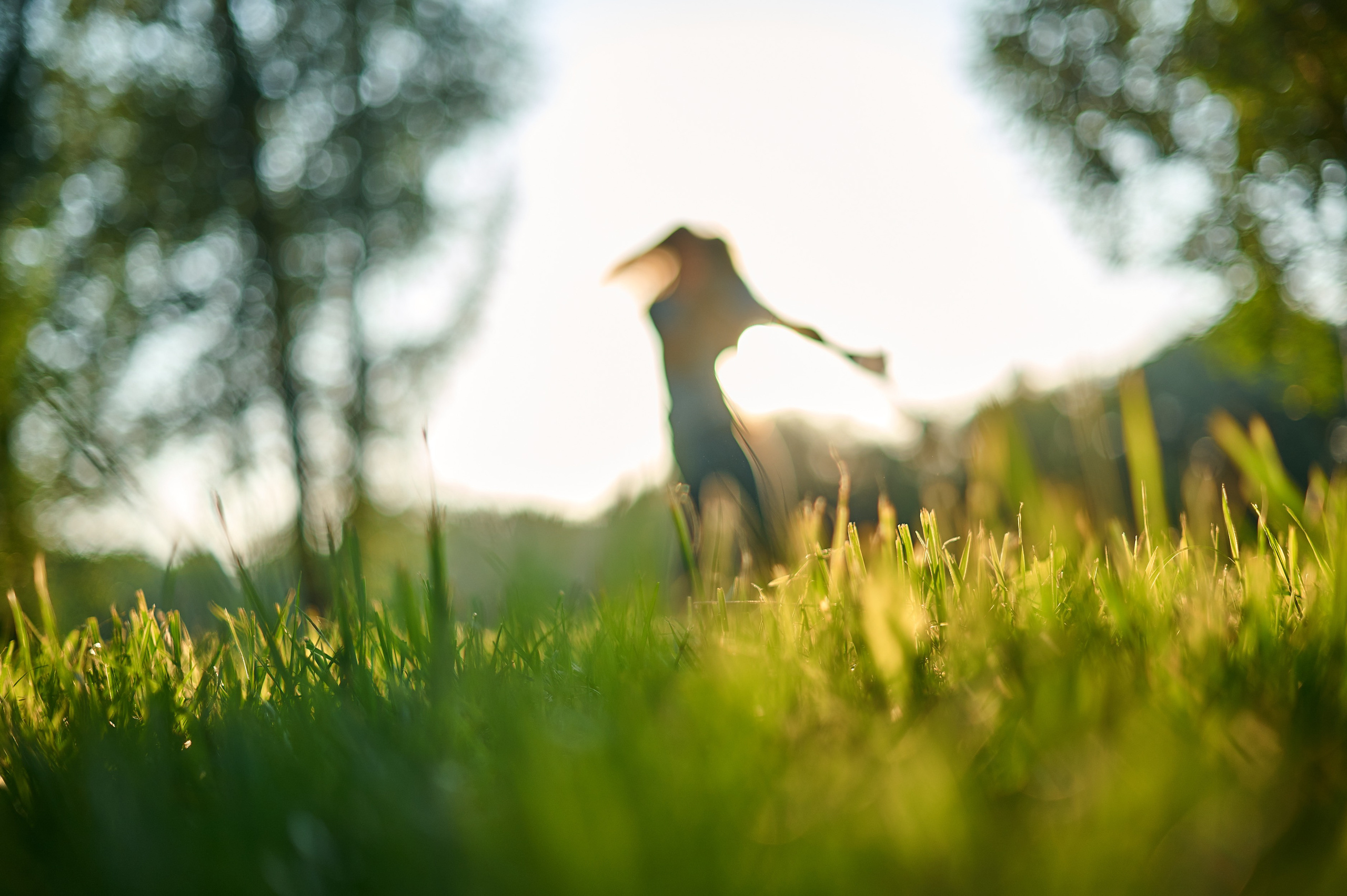 С мамой весело гулять. Фотосъемка мероприятий