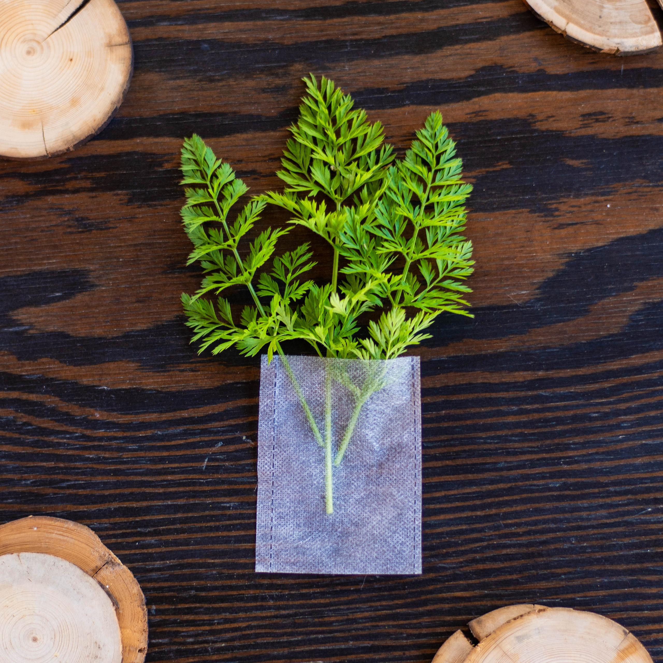 Товары для магазинов на маркетплейсах. Екатерина Бикбаева фотограф, видеограф, медиа-продюсер