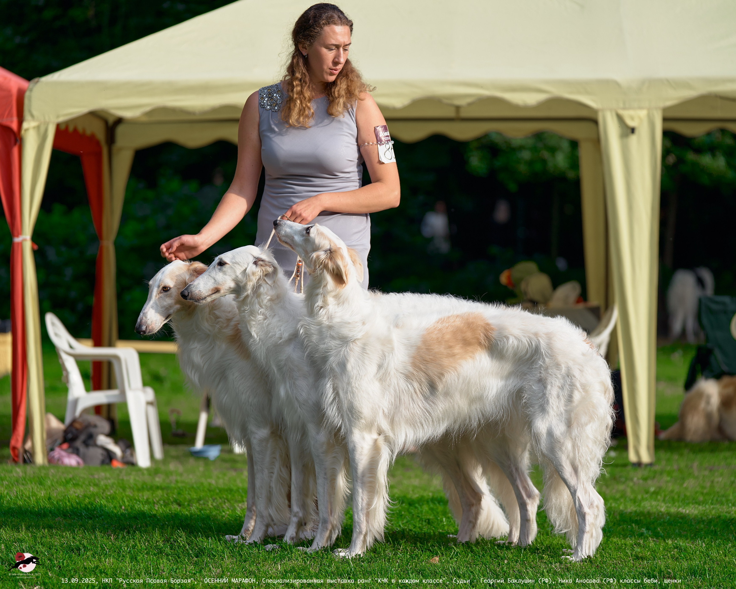 ОСЕННИЙ МАРАФОН | Специализированная выставка породы Русская Псовая Борзая ранг "КЧК в каждом классе"