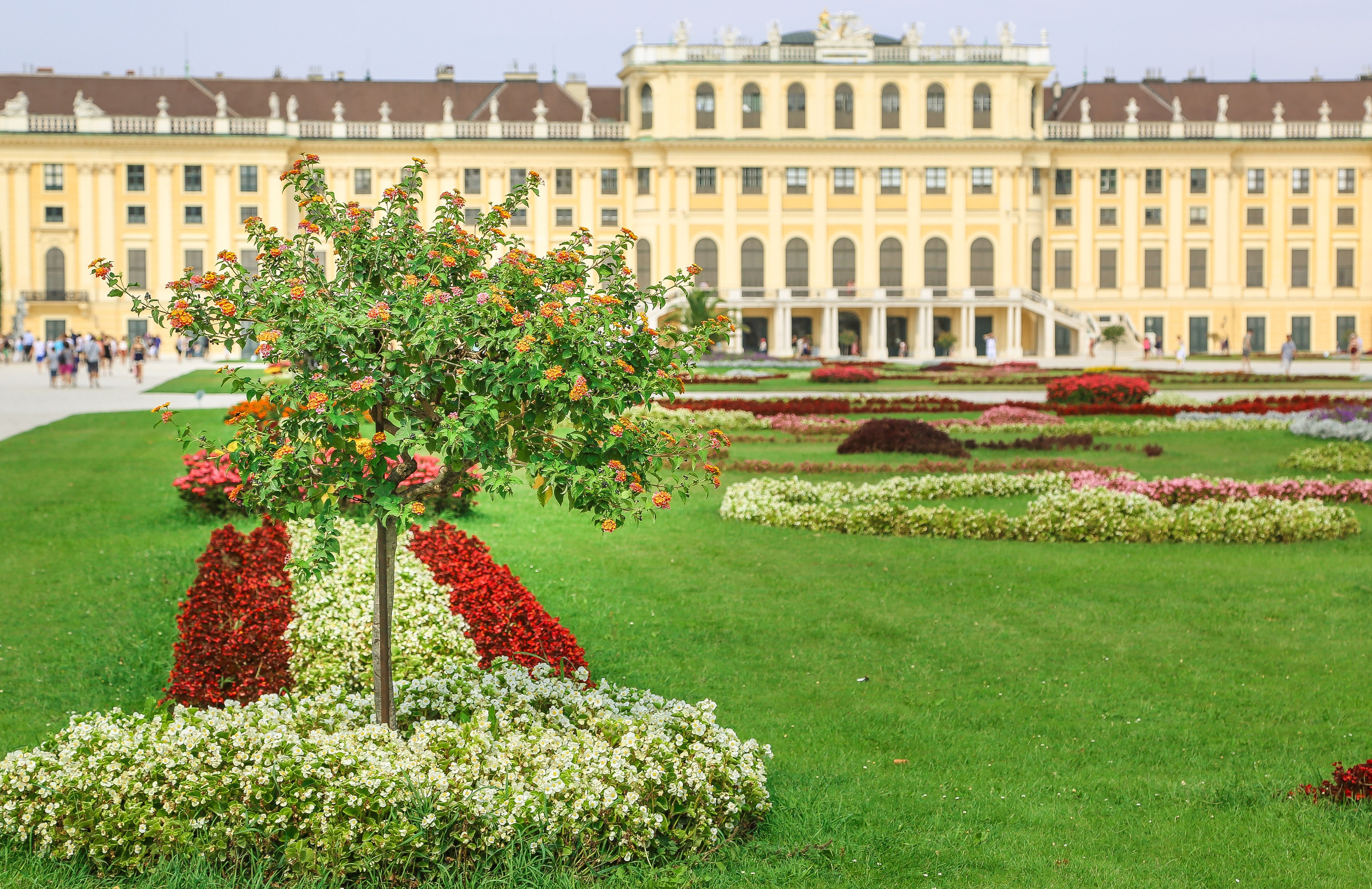 Австрия: Вена — знакомство. Дарья Письменюк / Darya Leitstern — фотограф, музыкант, журналист, путешественник