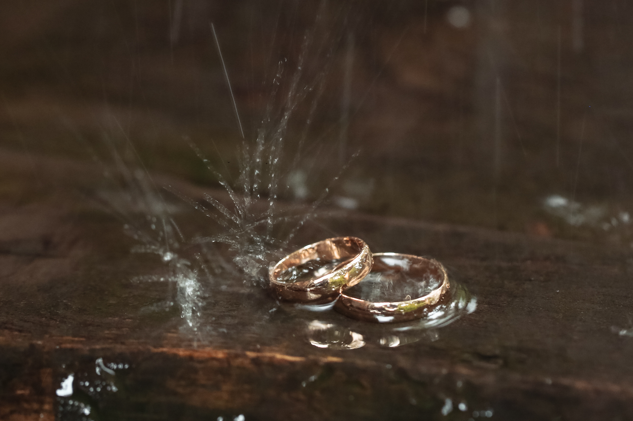 Свадебный фотограф, свадебный фотограф Станислав Петров, trend media group, свадебное фото, фотограф ижевск