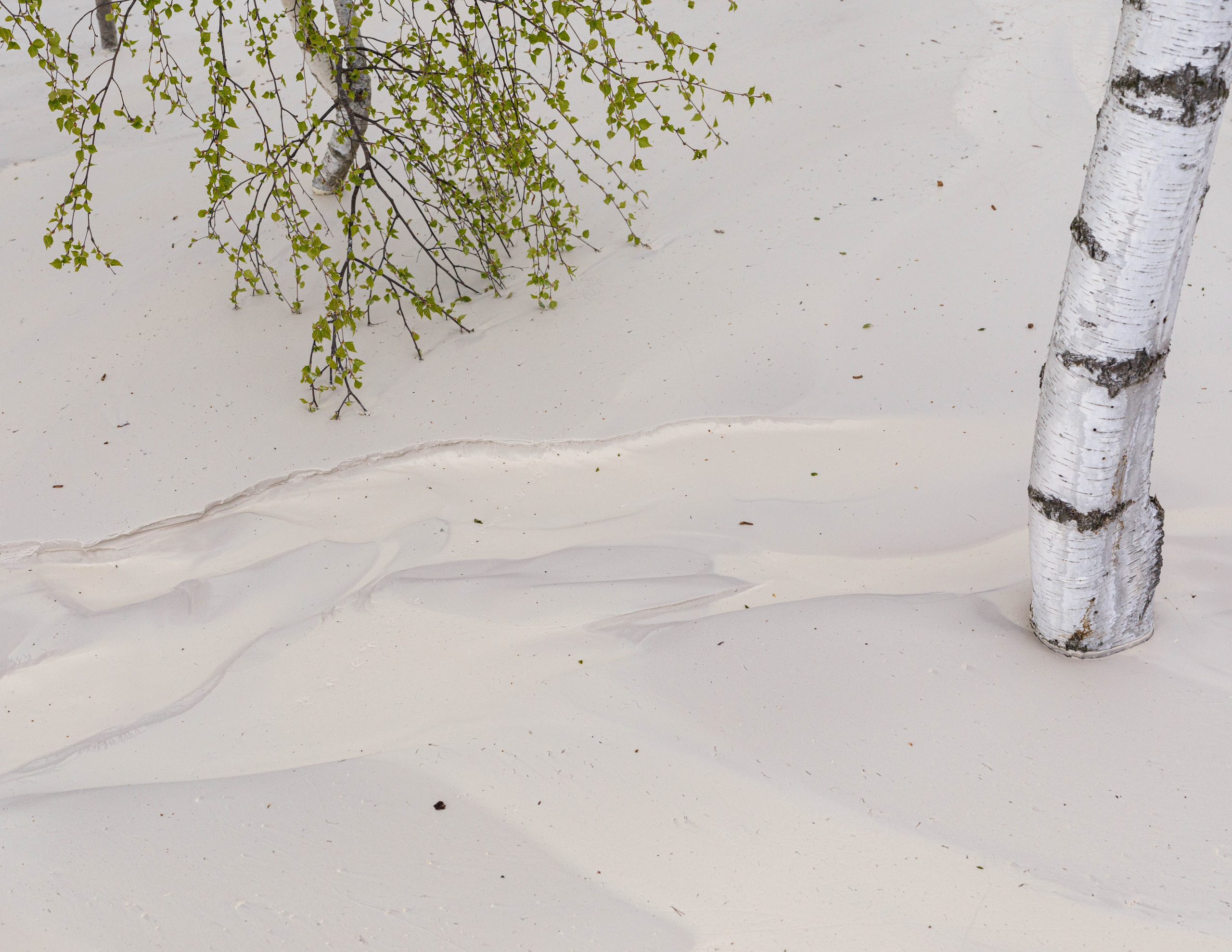 Antropocen (ongoing). Photographer, Documentary and Art