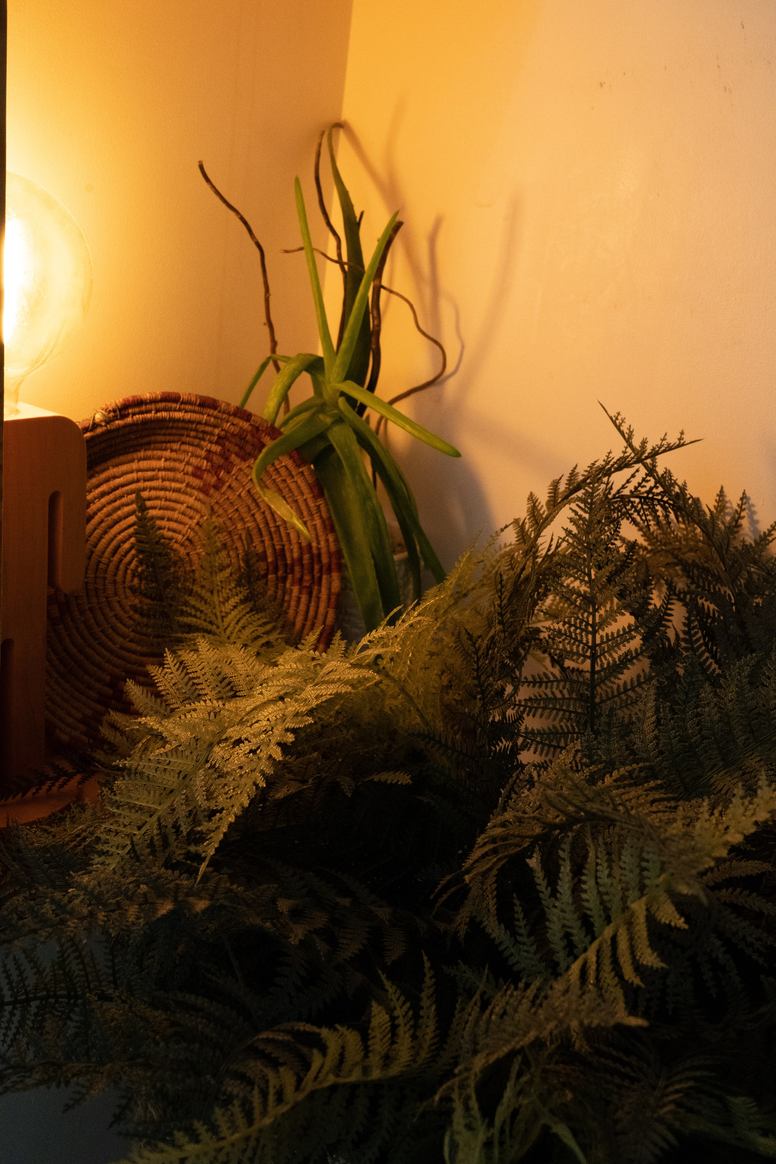 Бамбук кейс