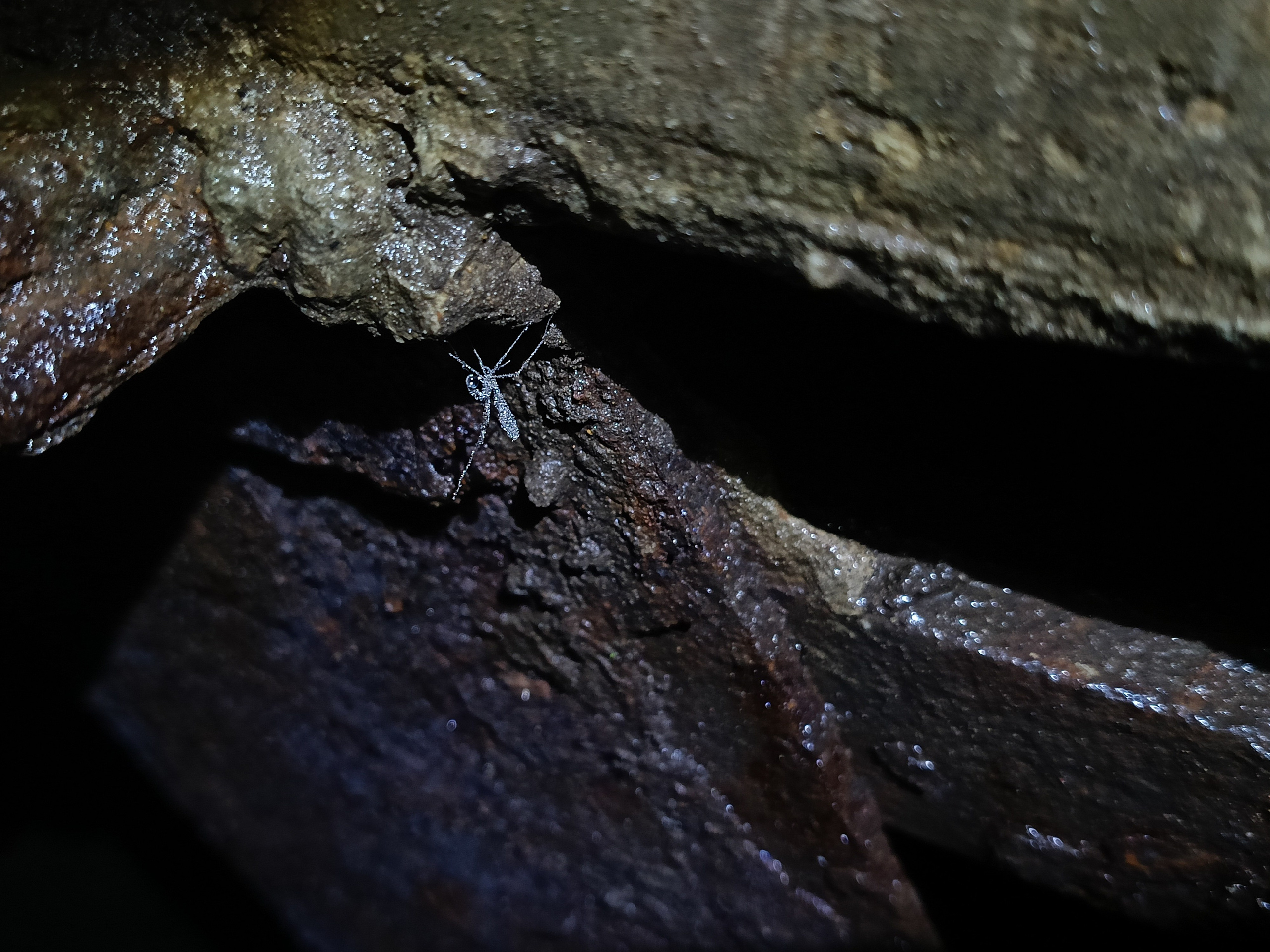 Исчезающие. Фотограф в Самаре Варвара Макарова