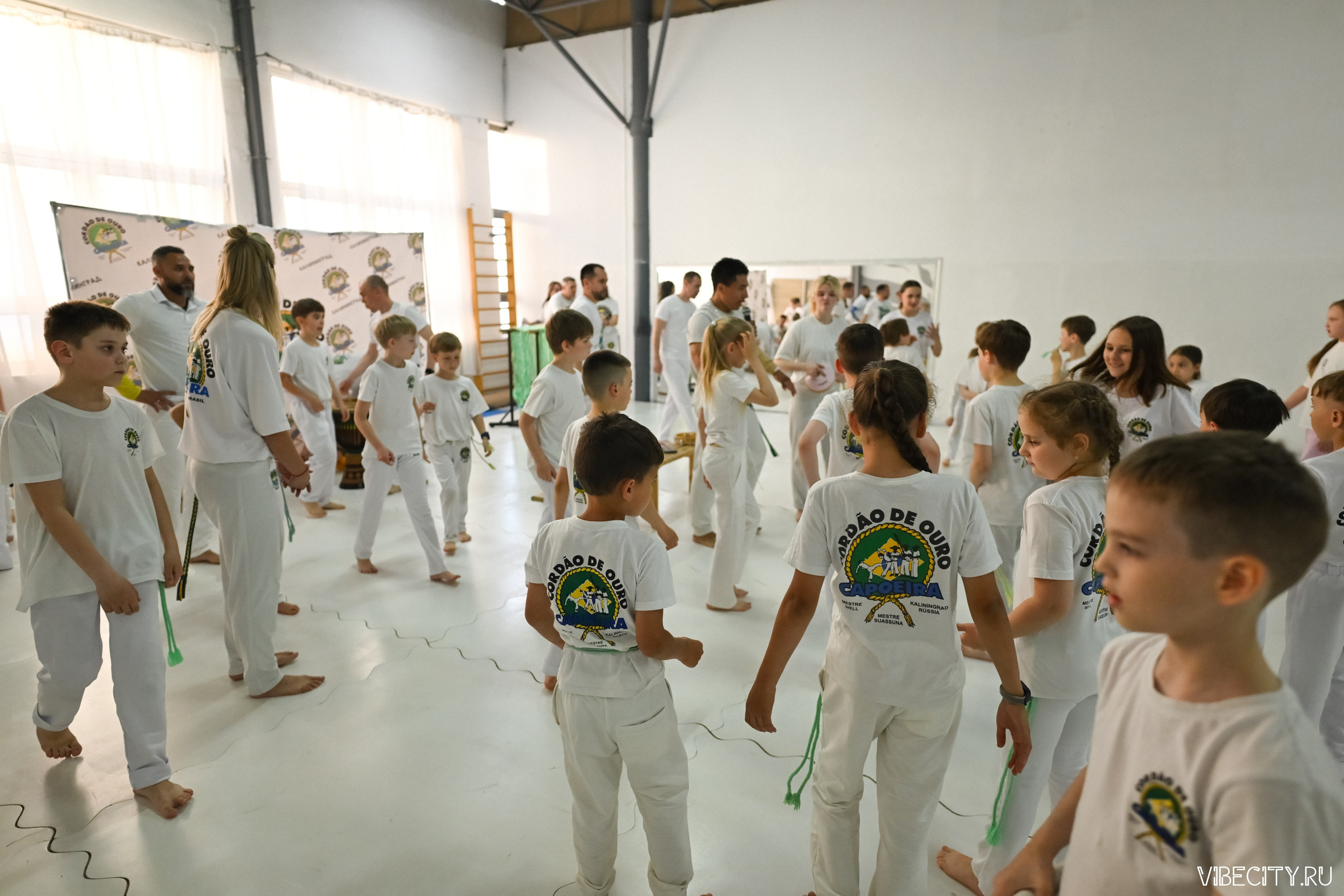 Capoeira: 4-е batizado e Troca de cordao. VIBECITY.RU Вайб Сити Ру Фоторепортажи Фотоотчеты Калининград