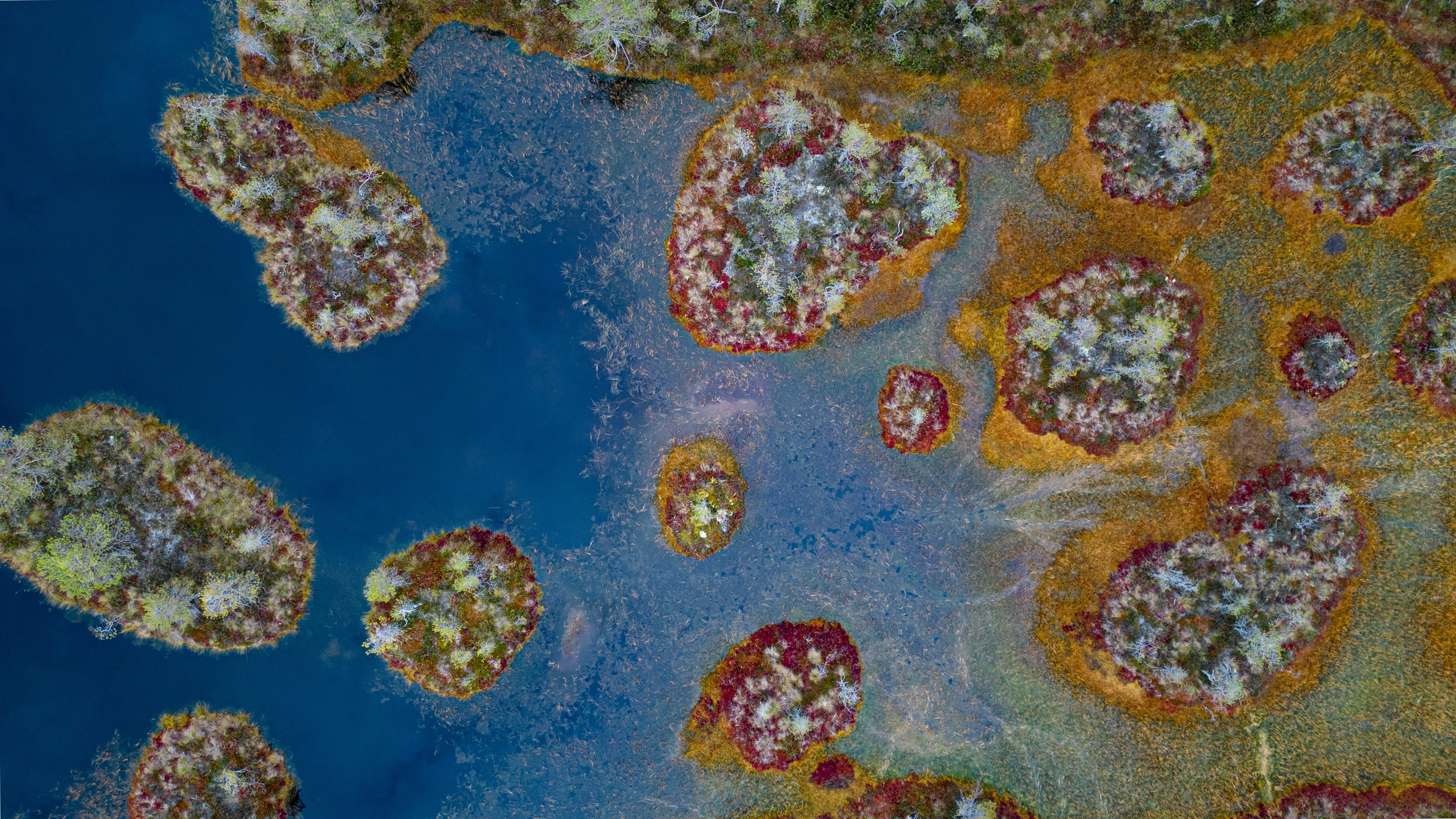 Осень на Карельском перешейке. Сентябрь