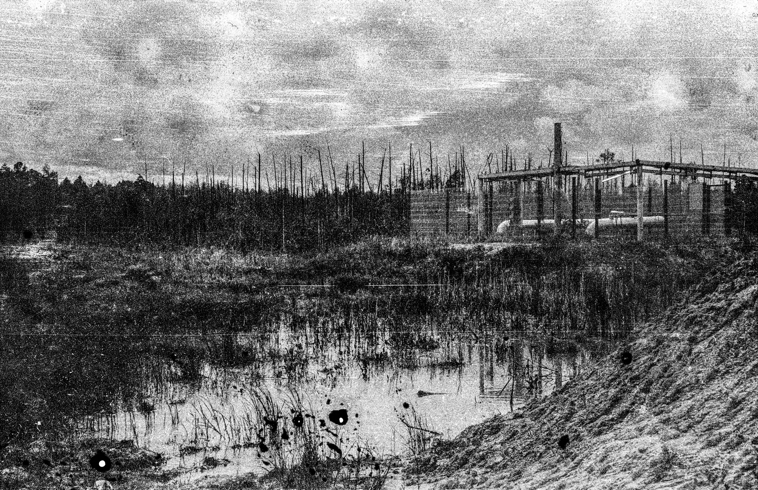 oil producing damaged forest