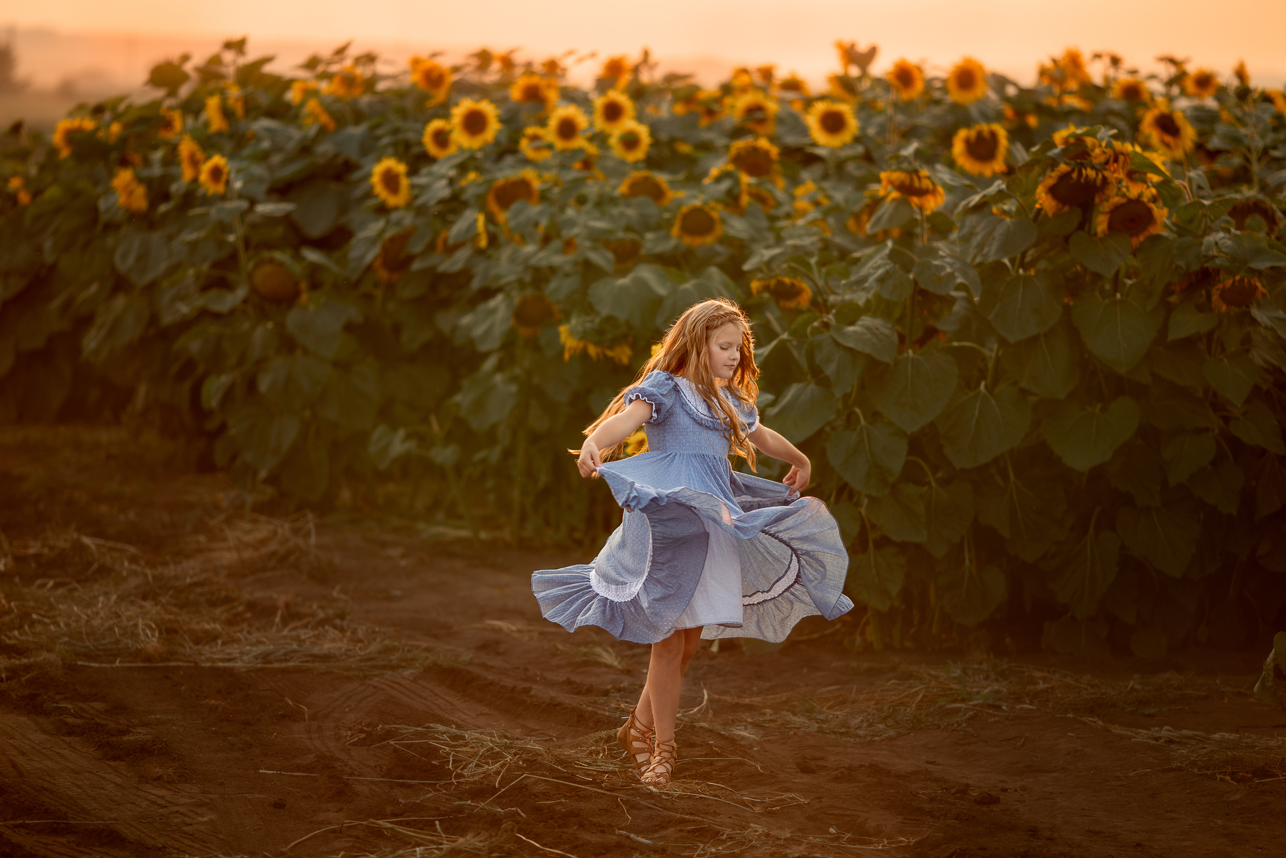 Алёна и подсолнухи. Детский и семейный фотограф в Красноярске Елена Коровкина