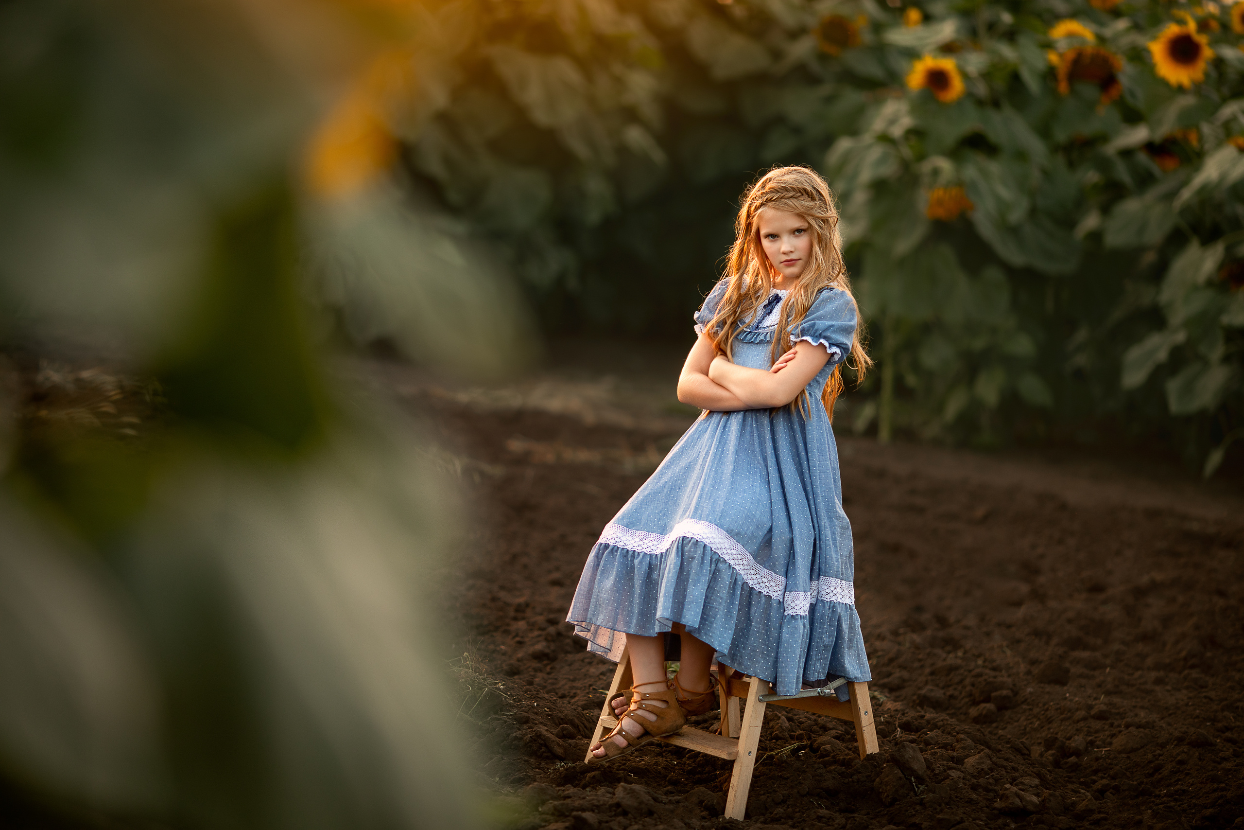 Алёна и подсолнухи. Детский и семейный фотограф в Красноярске Елена Коровкина