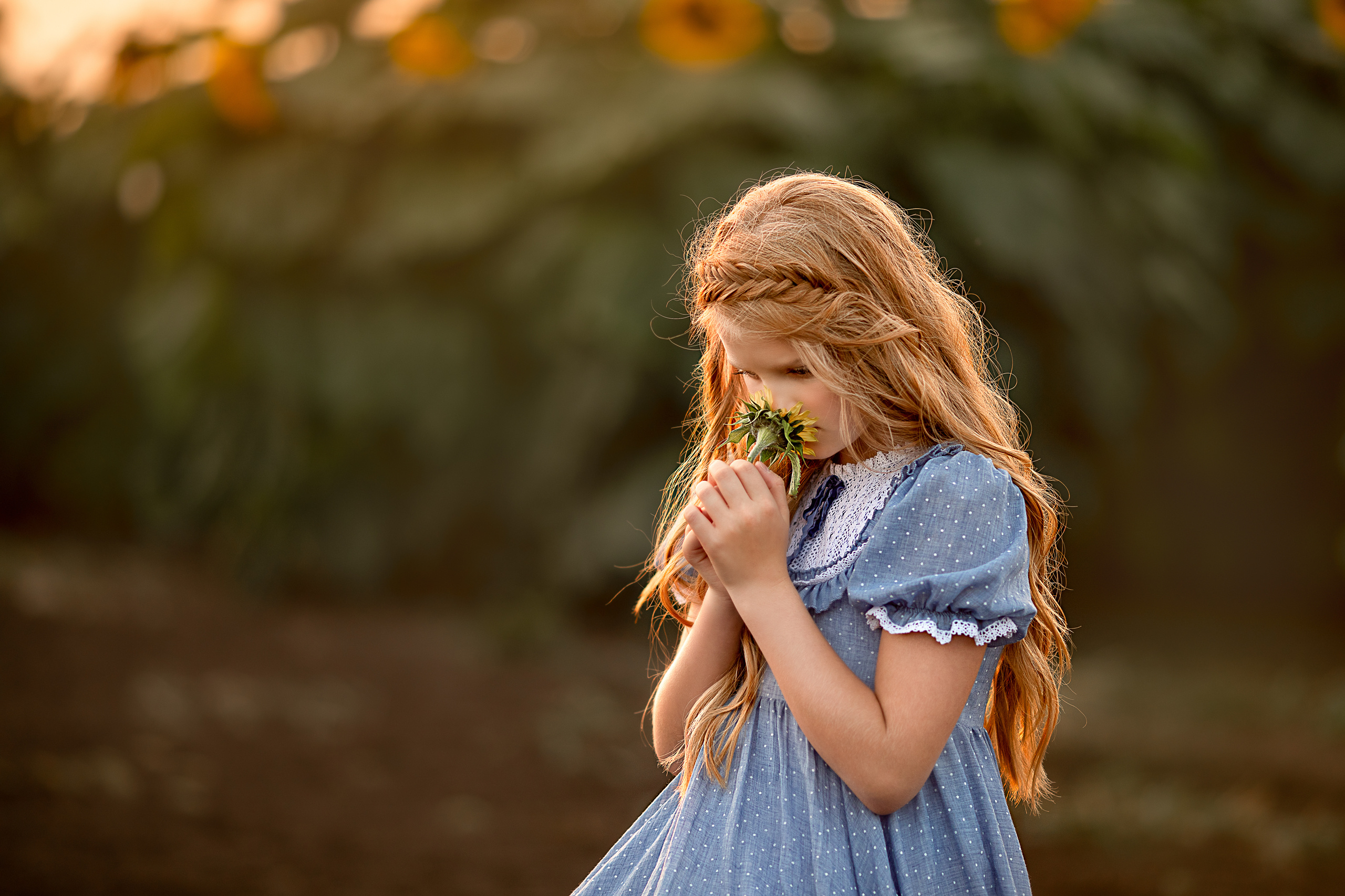 Алёна и подсолнухи. Детский и семейный фотограф в Красноярске Елена Коровкина