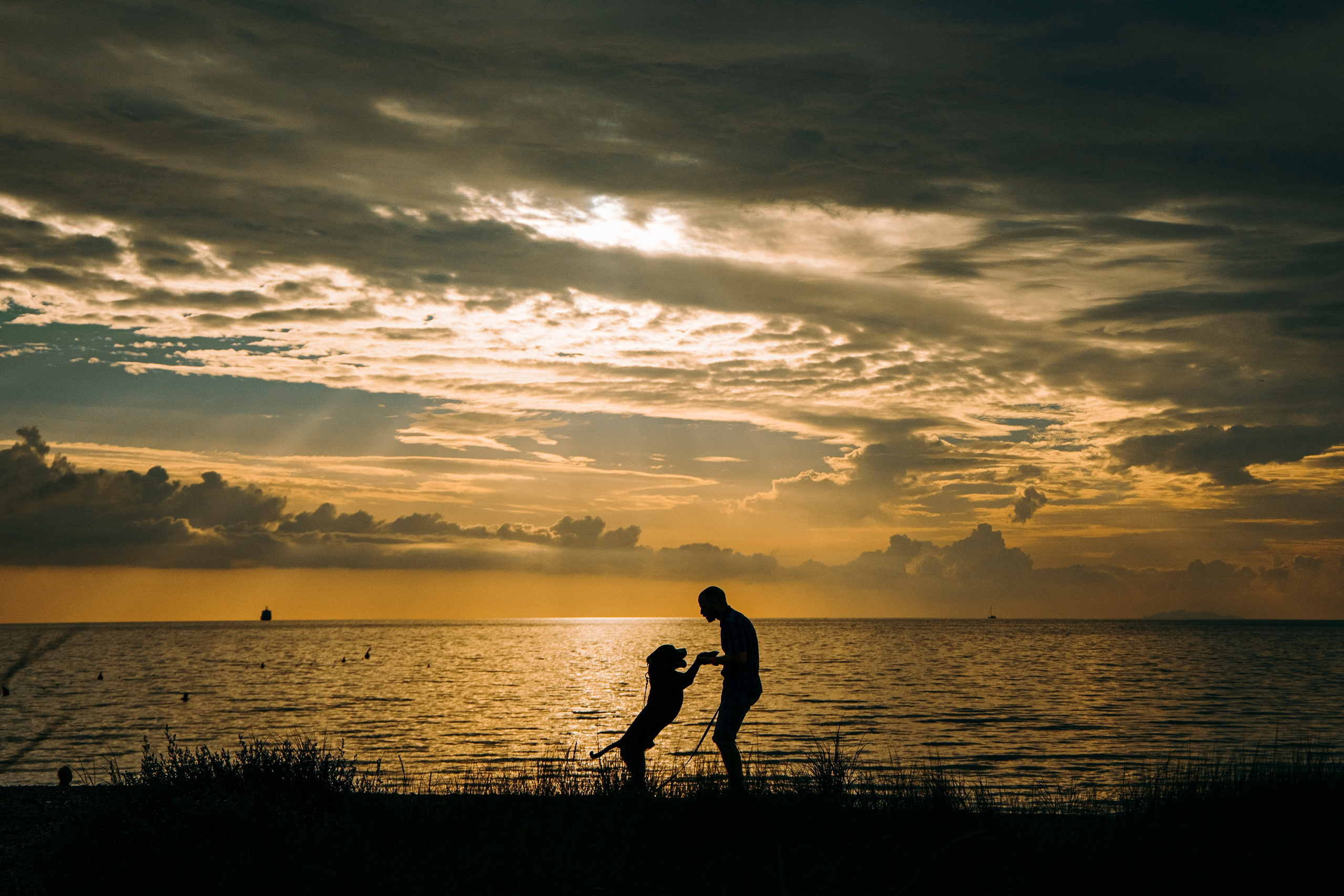 Kate and family. Family Lifestyle Photographer in Lucca, Italia
