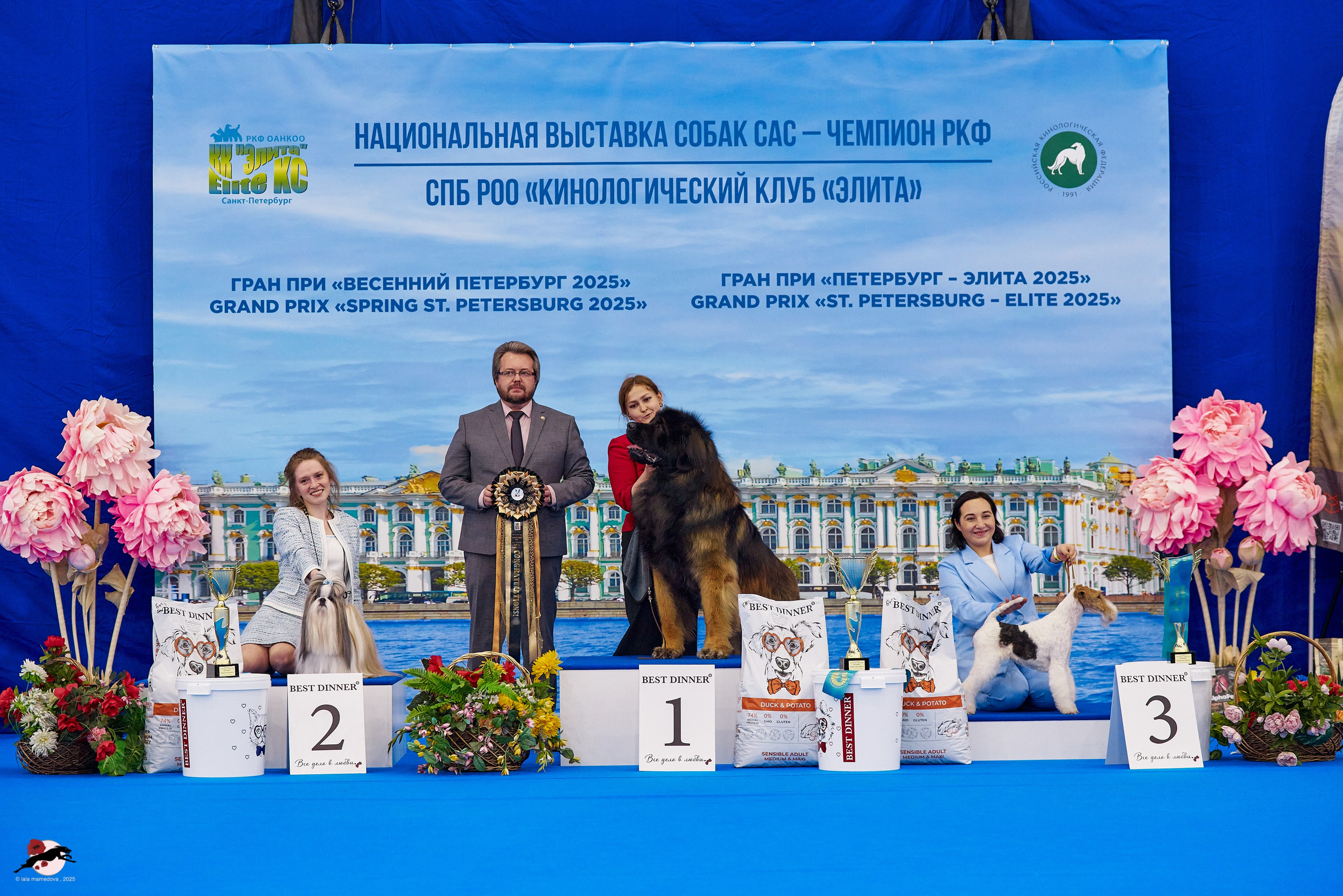 ГРАН ПРИ «ВЕСЕННИЙ ПЕТЕРБУРГ» & «СУПЕР КУБОК «ЭЛИТЫ»-2025»