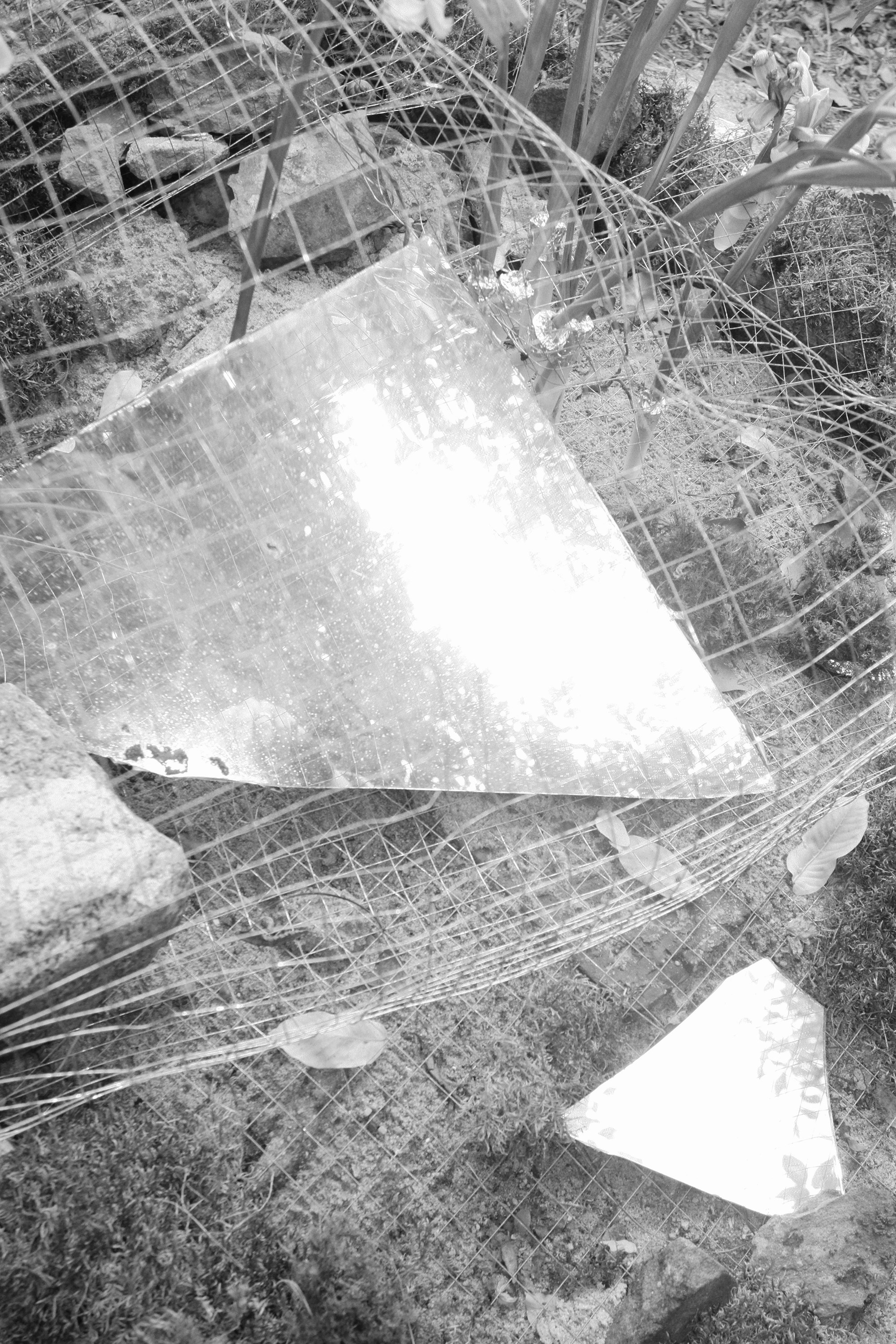 2025, UTOPIA group exhibition. KST