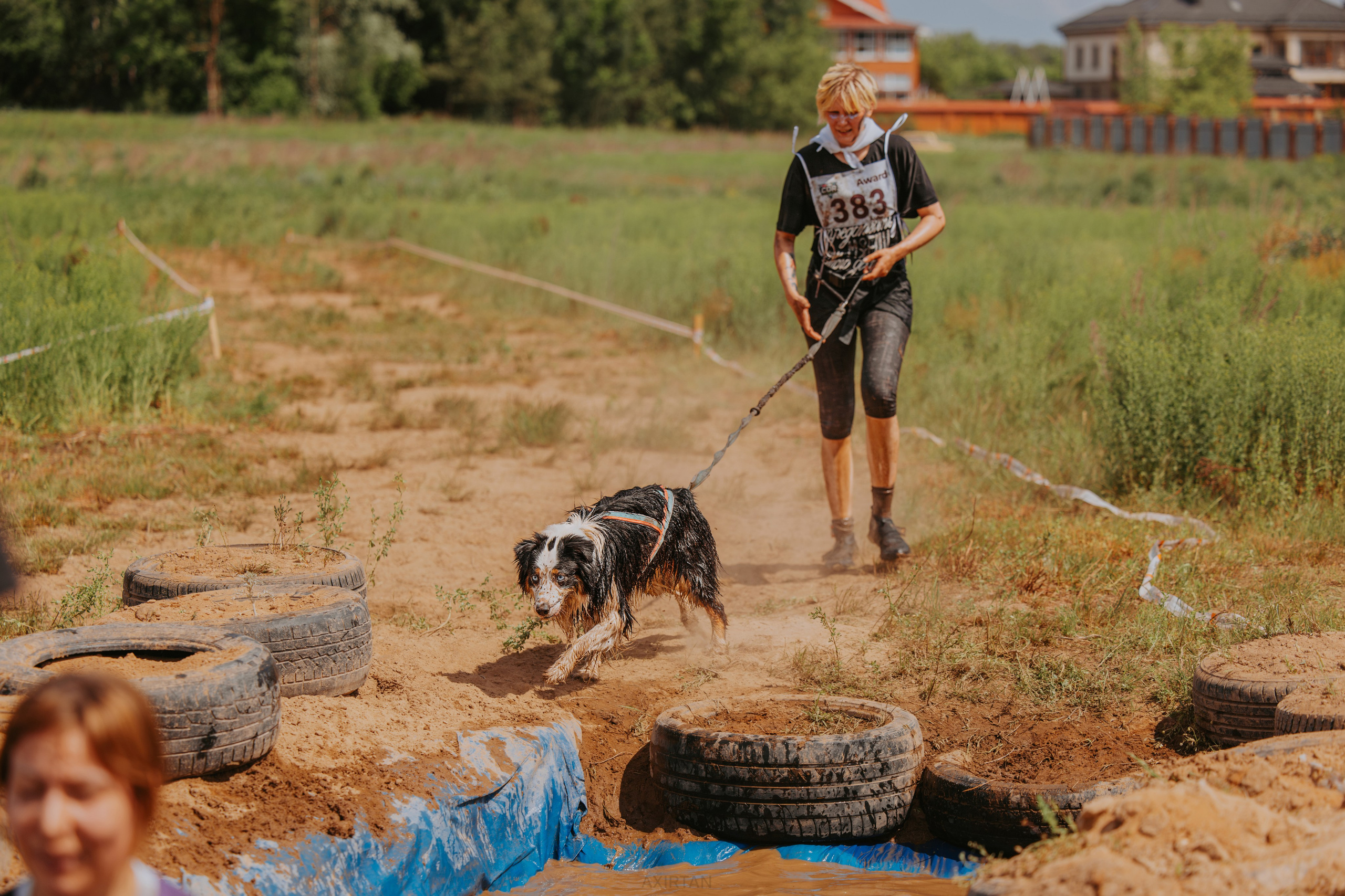 О нас. BLGKV питомник собак