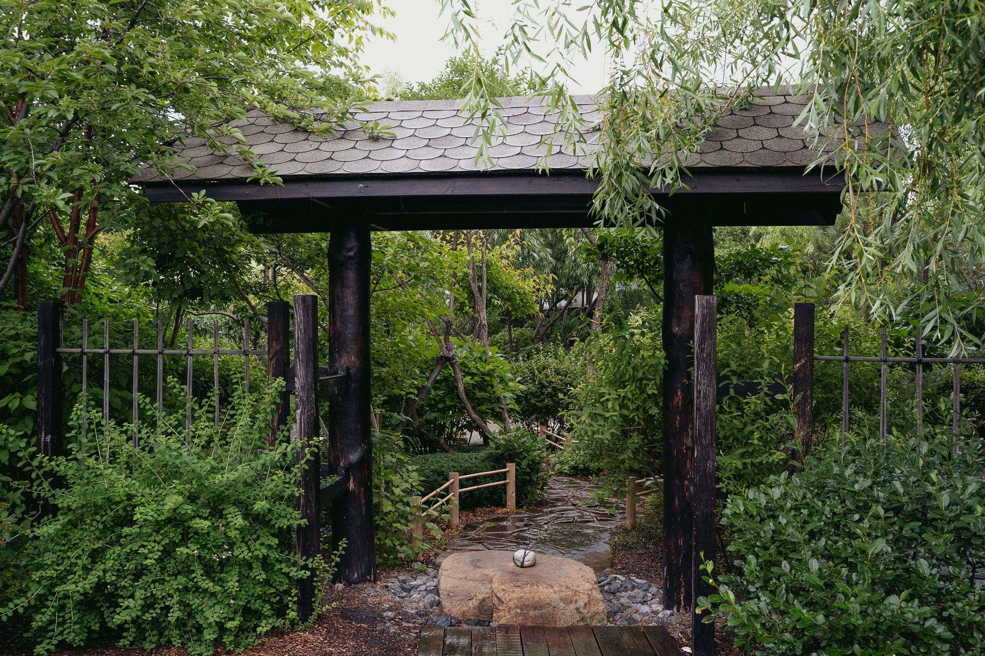 Японский сад в дождь. Яна Жуковская, фотограф Тюмень