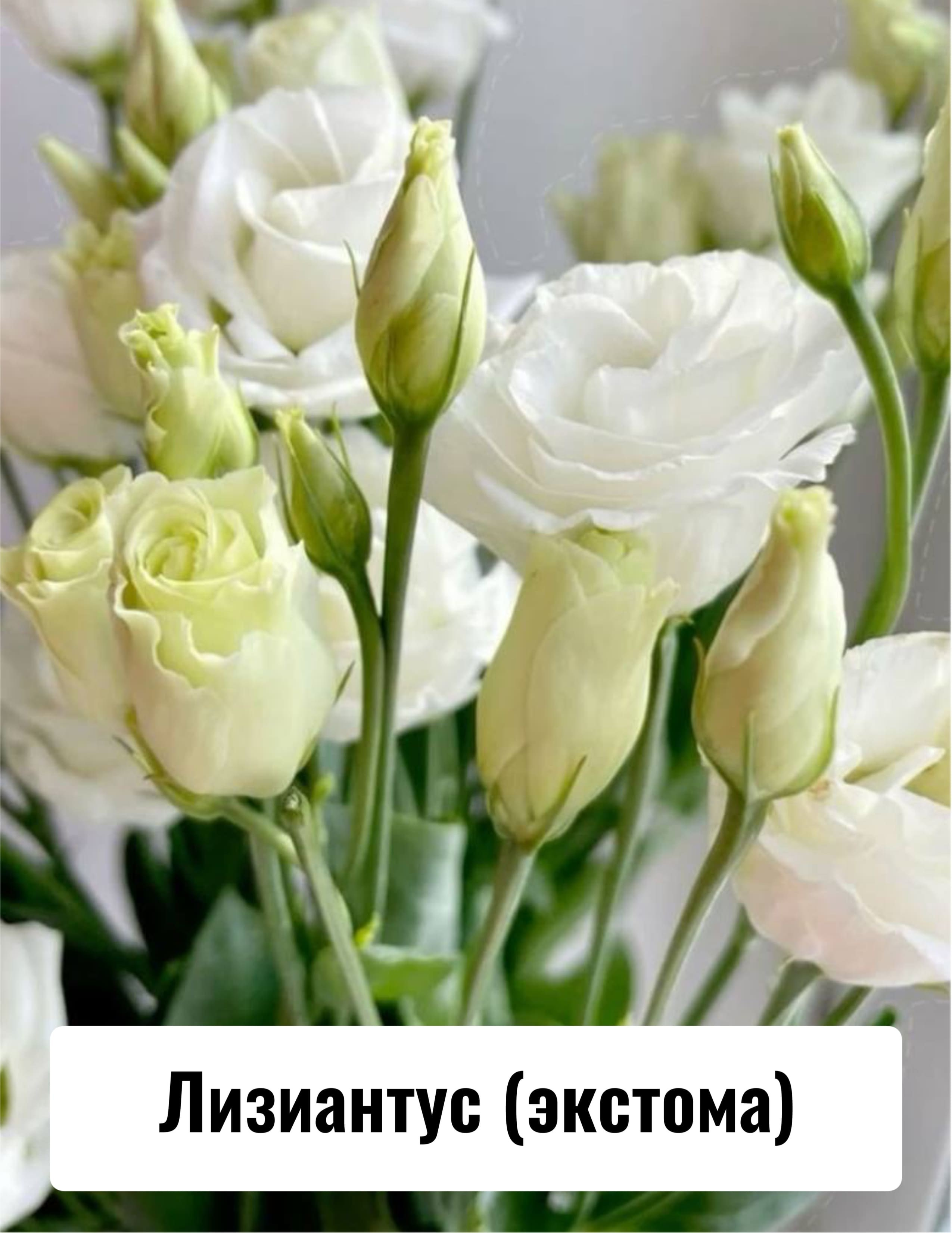 Приглашение на свадьбу