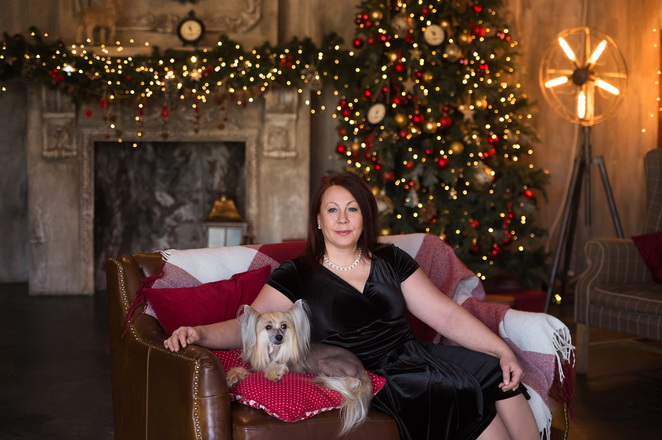 Alfa Laval De lux Supernova. Питомник китайских хохлатых собак Poale Ell: купить щенка в питомнике