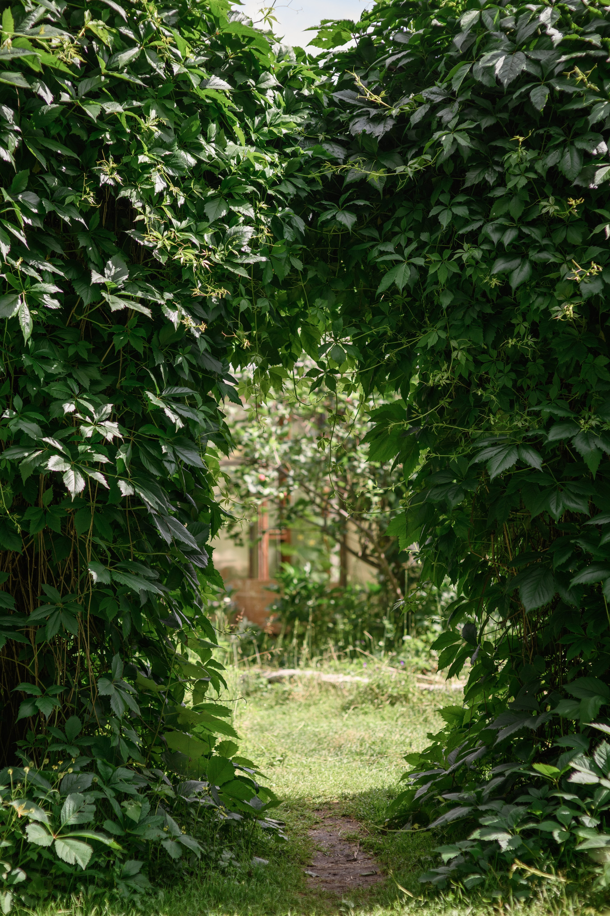 Фотостудия Зачарованный сад в Екатеринбурге