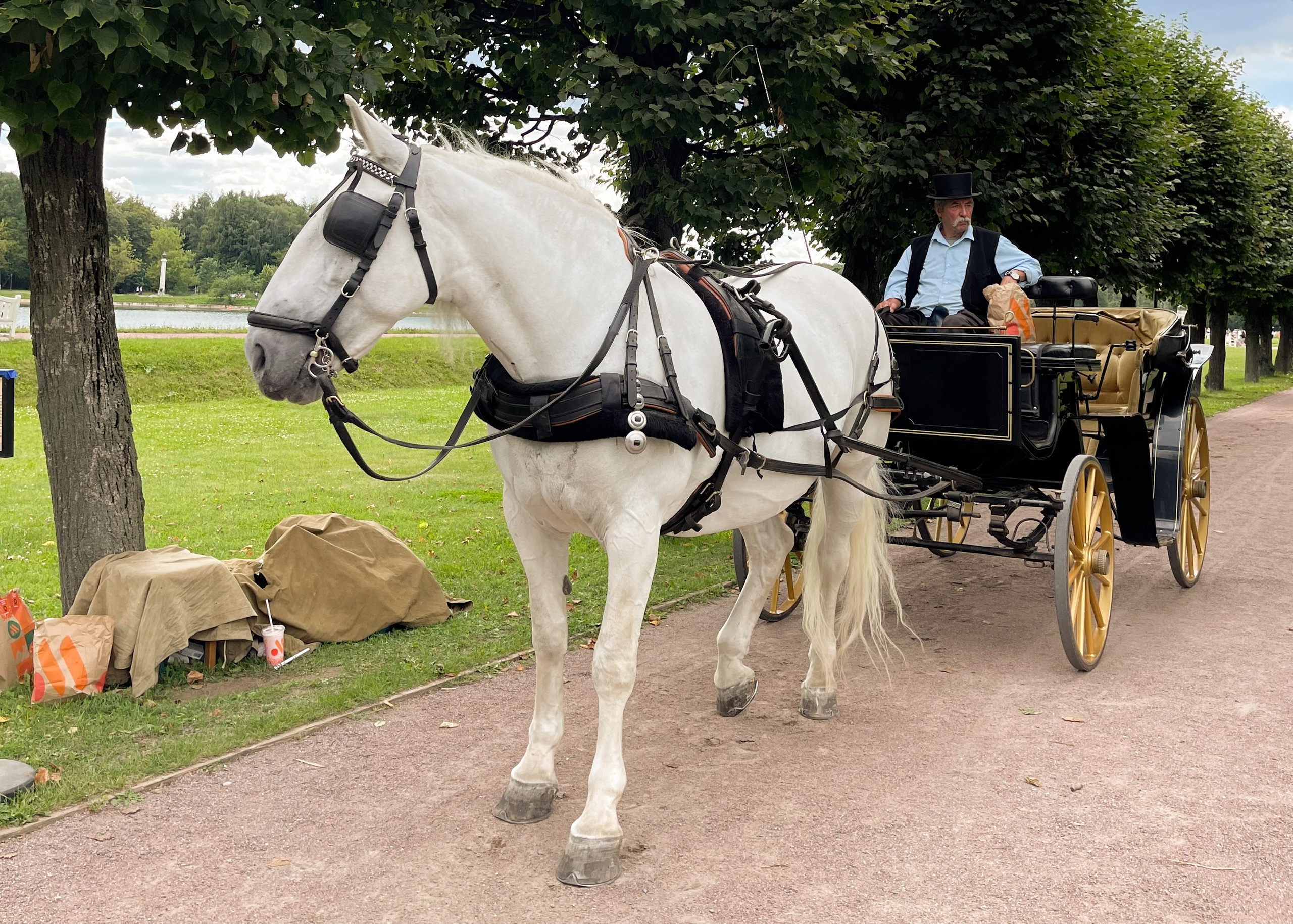 Кусково. Экскурсовод по Москве Беляева Валентина