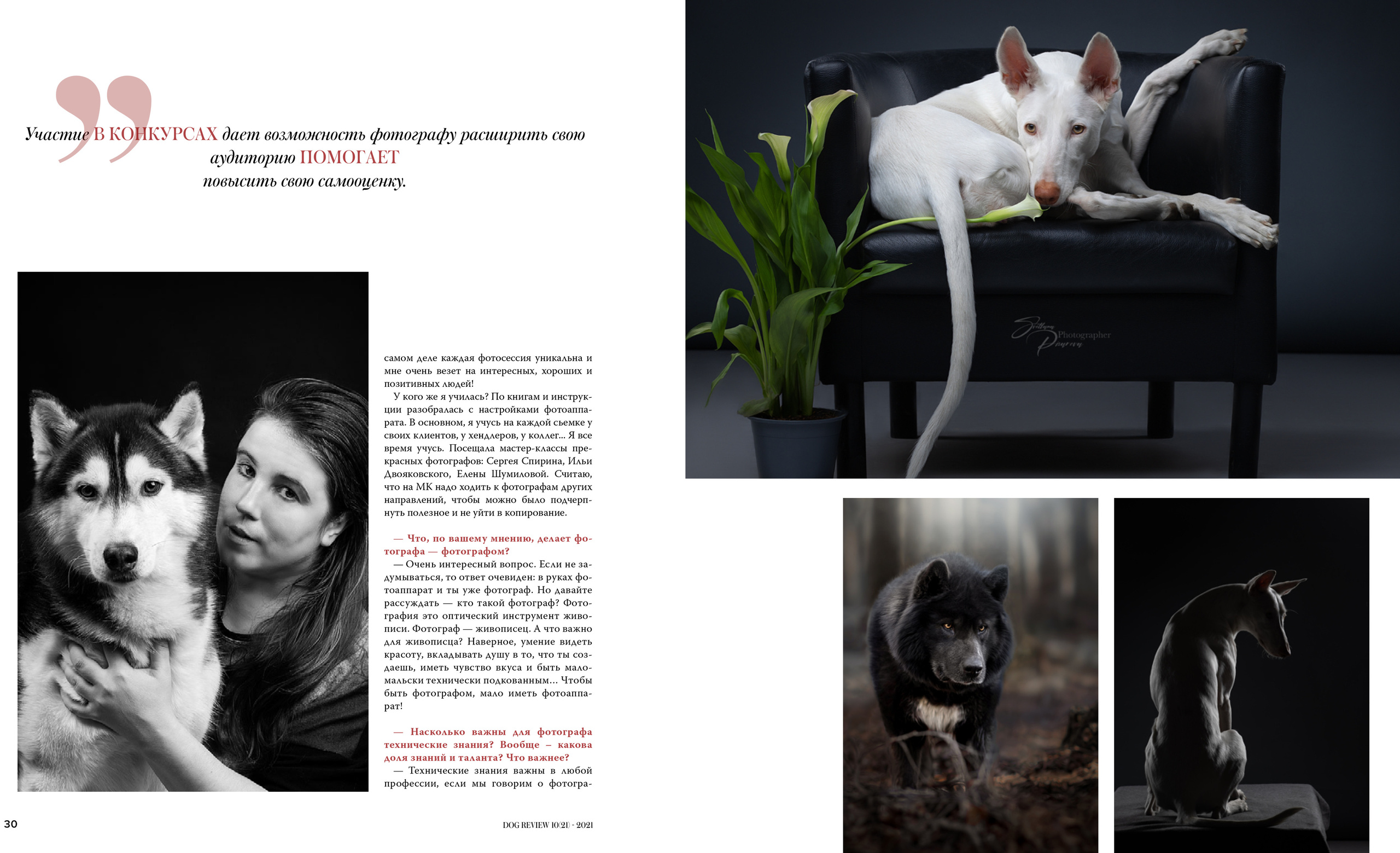 Публикации. Фотограф анималист в Санкт-Петербурге Светлана Писарева