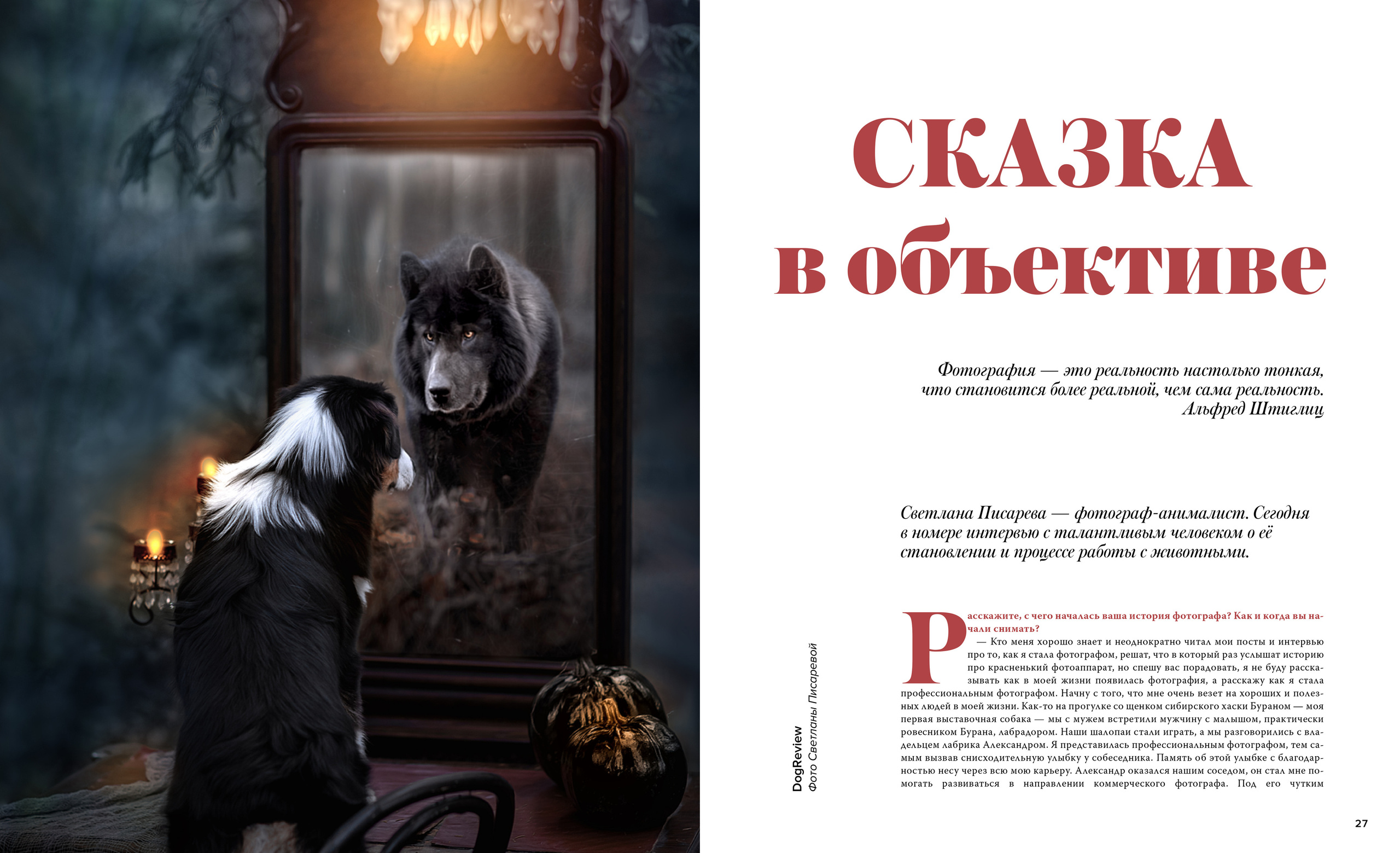 Публикации. Фотограф анималист в Санкт-Петербурге Светлана Писарева