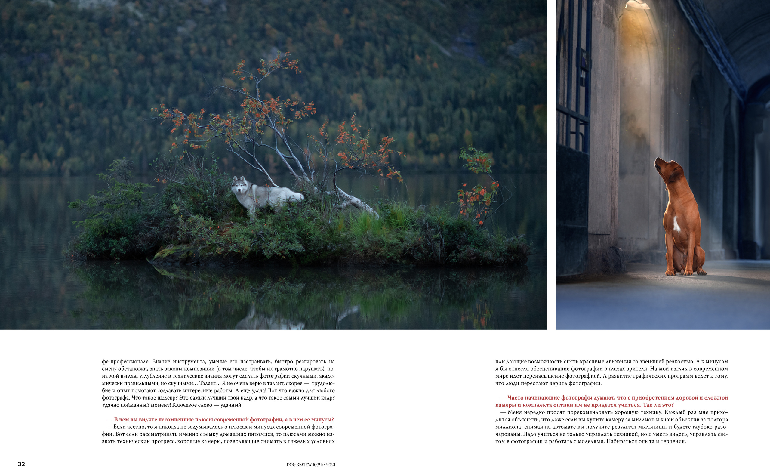 Публикации. Фотограф анималист в Санкт-Петербурге Светлана Писарева