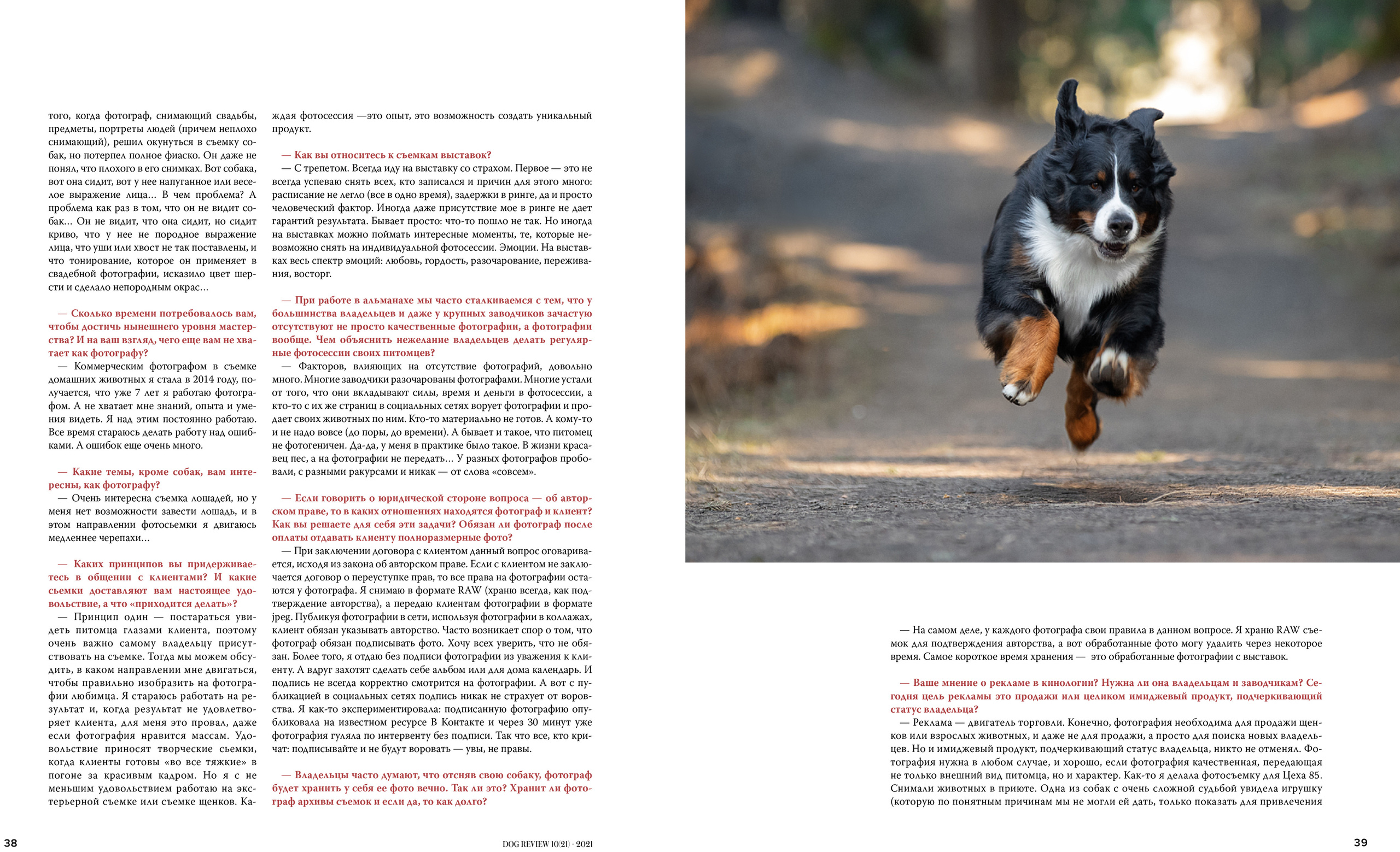 Публикации. Фотограф анималист в Санкт-Петербурге Светлана Писарева