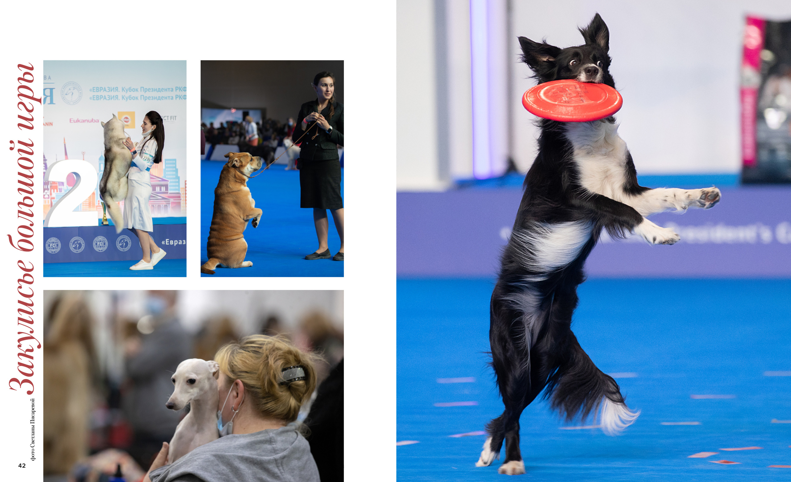 Публикации. Фотограф анималист в Санкт-Петербурге Светлана Писарева