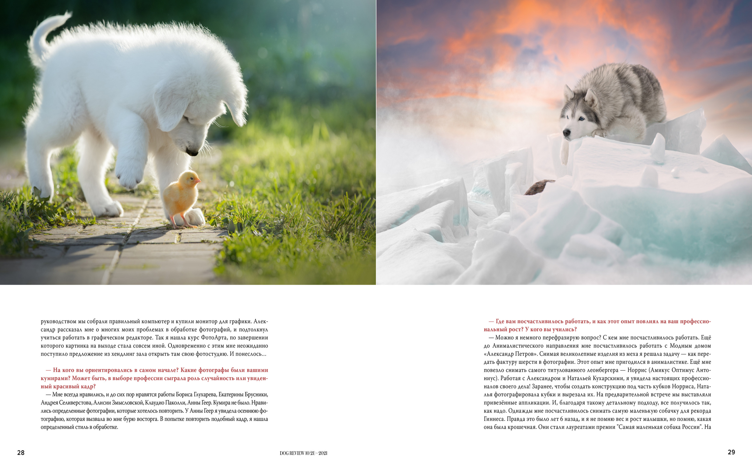Публикации. Фотограф анималист в Санкт-Петербурге Светлана Писарева