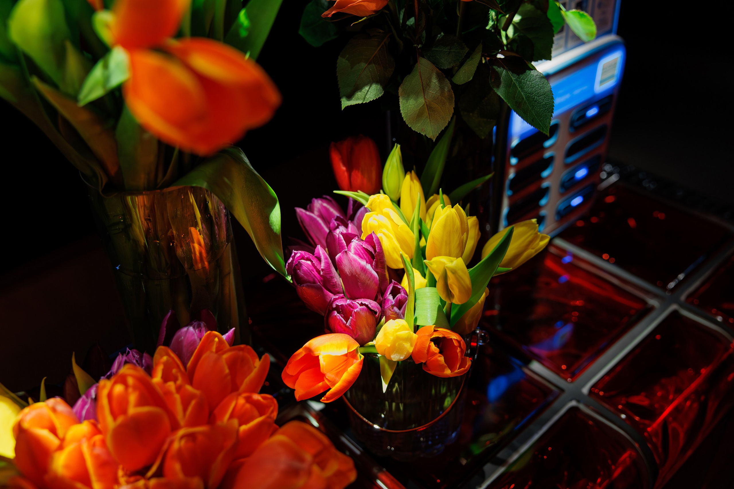 SOLOVI — PRE-8 MARCH. СВОИ. ФОТООТЧЕТЫ-СОБЫТИЯ-МЕСТА